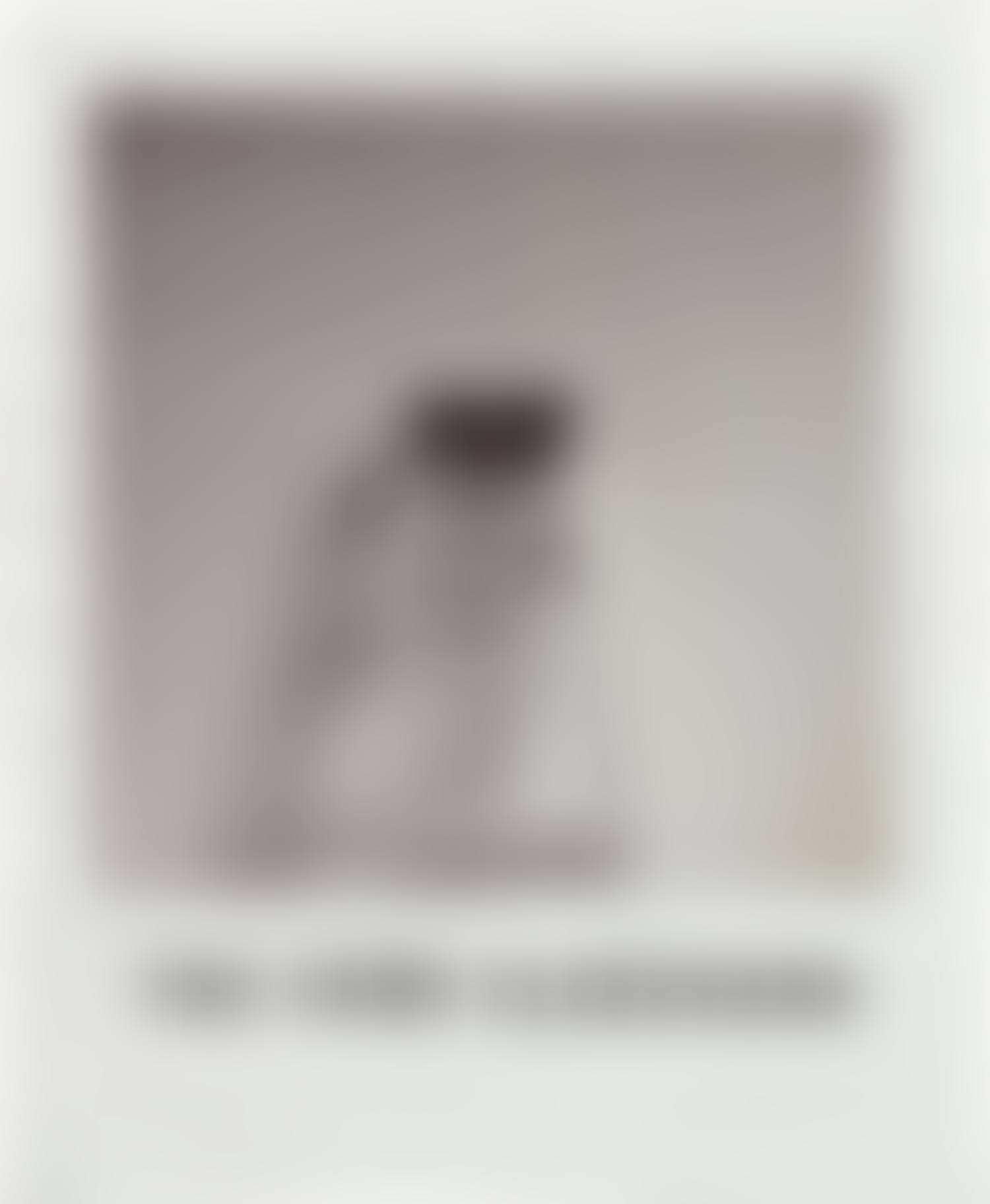 Study for Goya Series: The Same Elsewhere (preview)