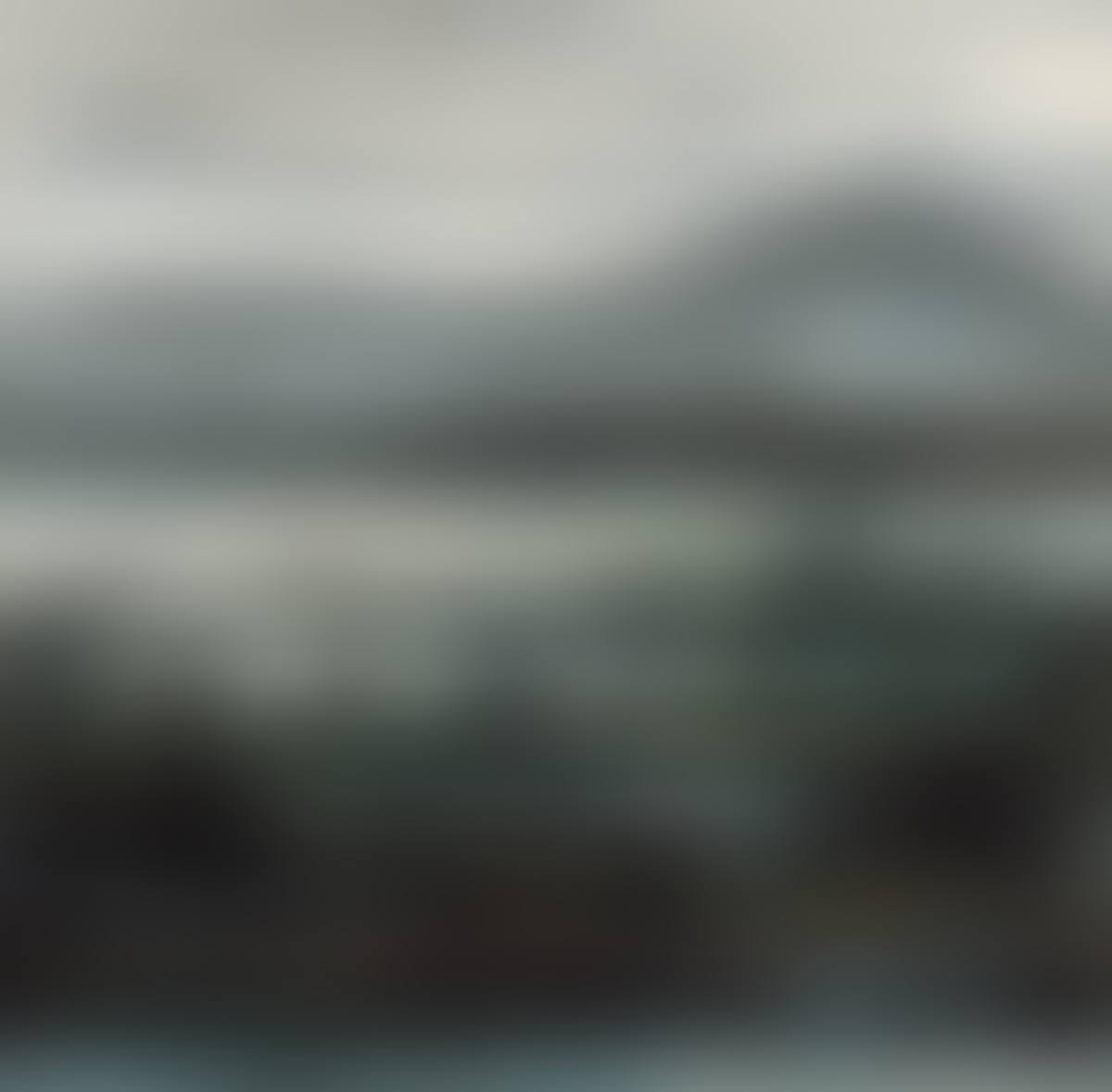 Reeds and Wild Geese (preview)