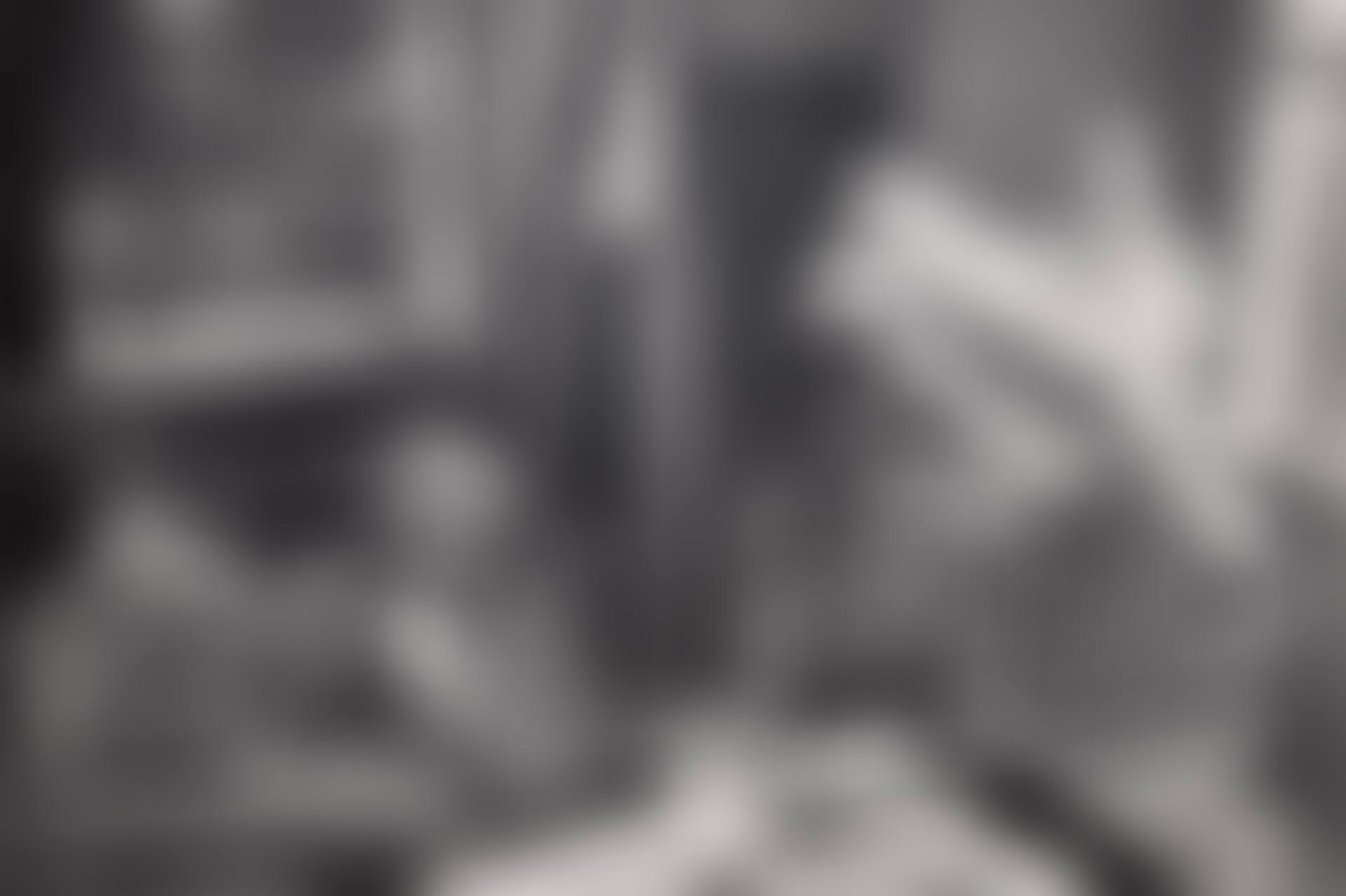 Henri Matisse, Vence (preview)