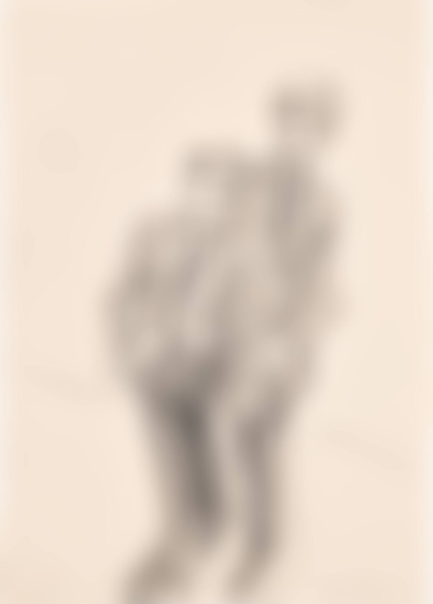 Untitled (Royals – Harry and William) (preview)