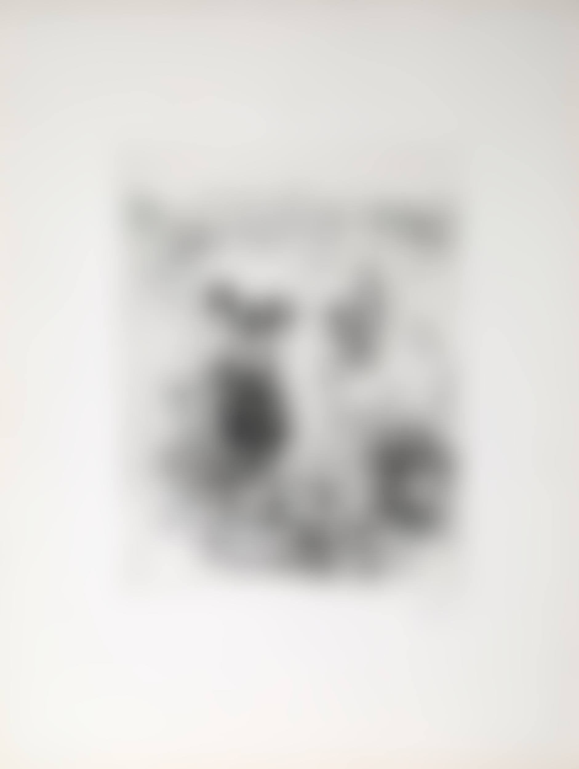 Paysage 1800 (preview)