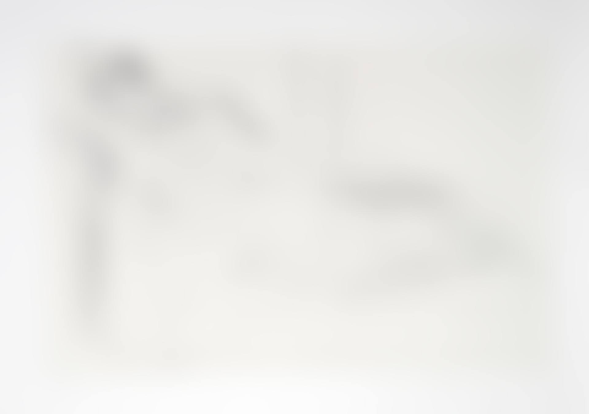 Marina Picasso Estate Lithograph Collection (preview)