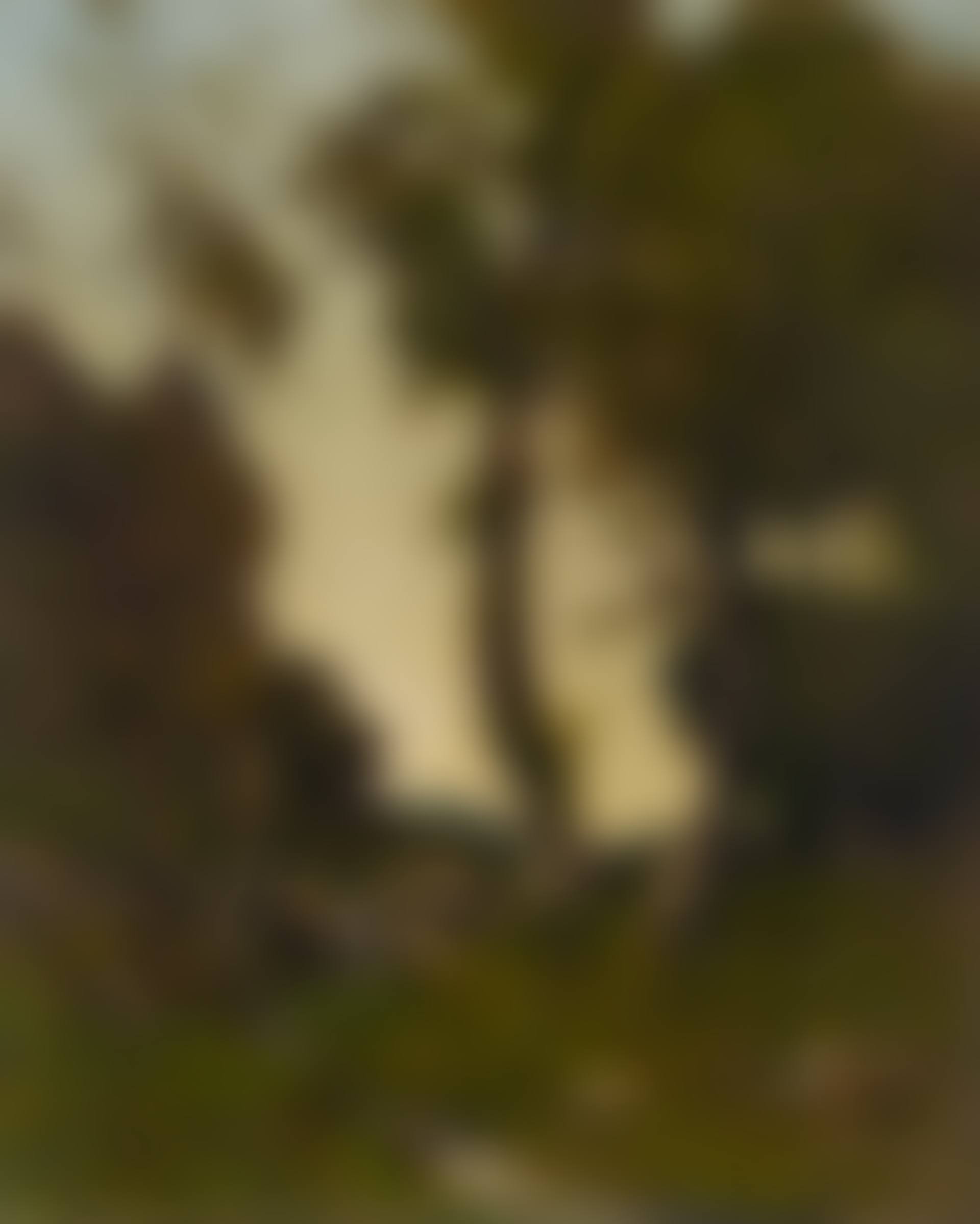Stream Near Nevers (preview)