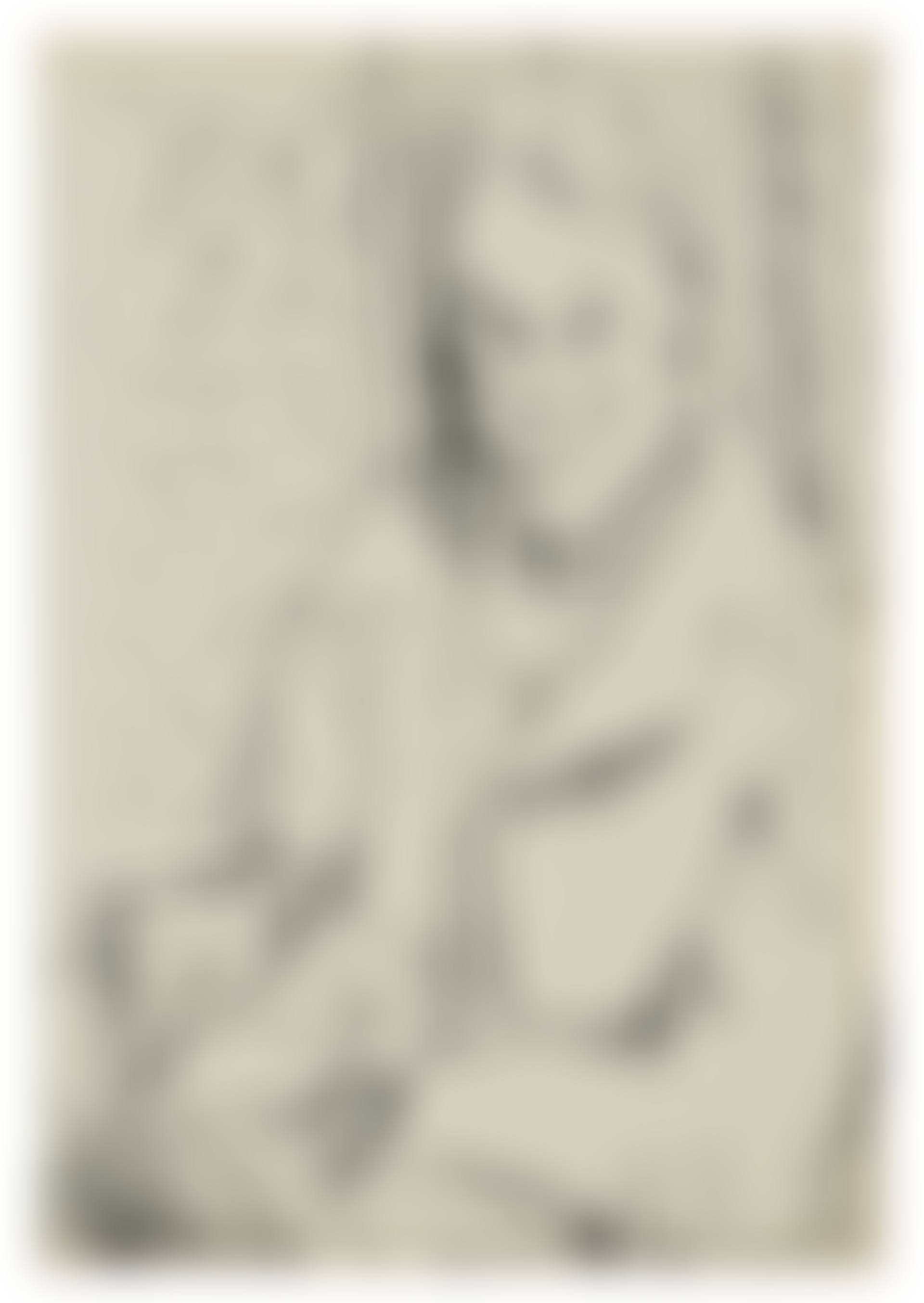 Portrait of Stephen Spender (preview)