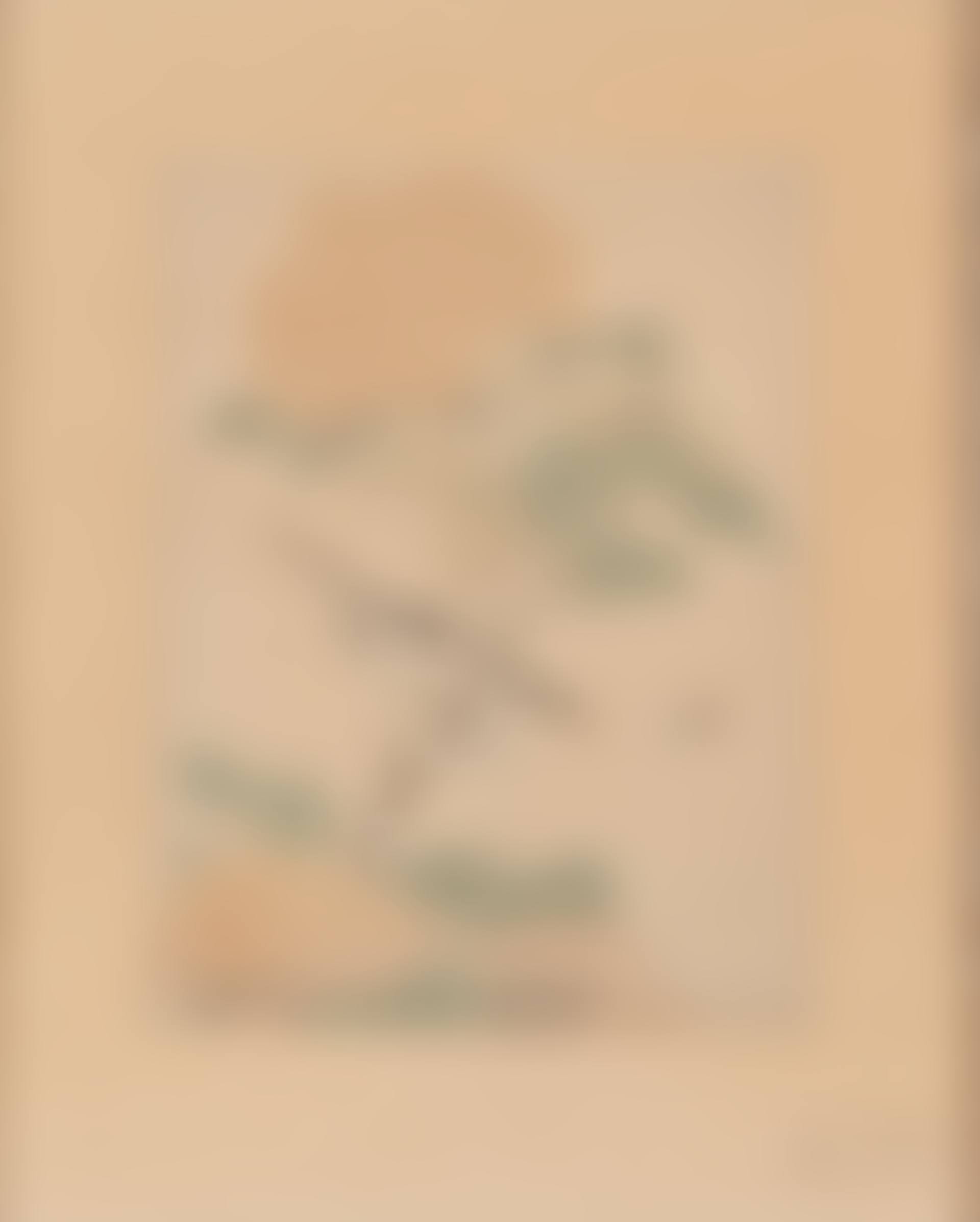 ANONYME (preview)