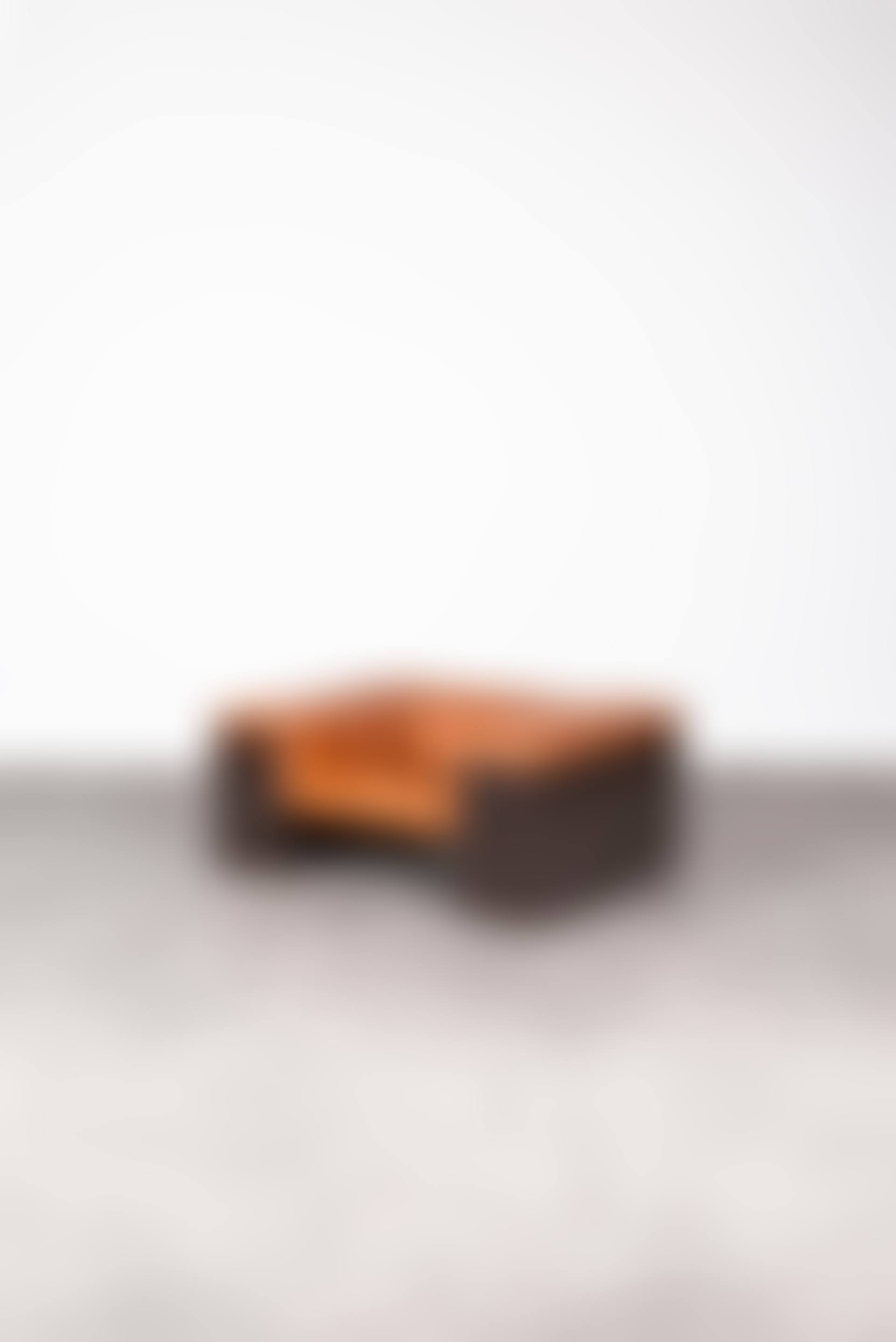 Fauteuil "Brigadier"  (preview)