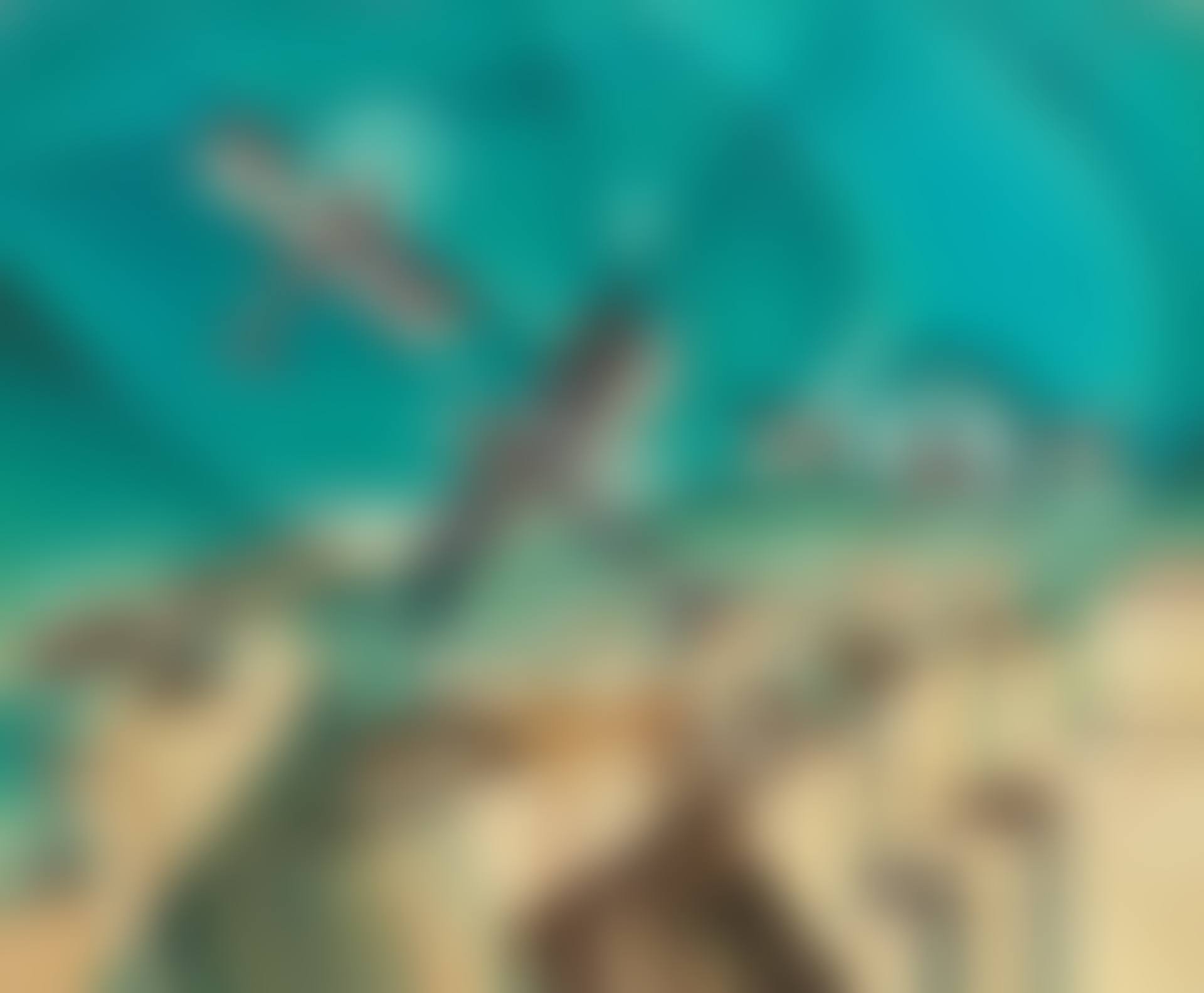Trio in volo (preview)