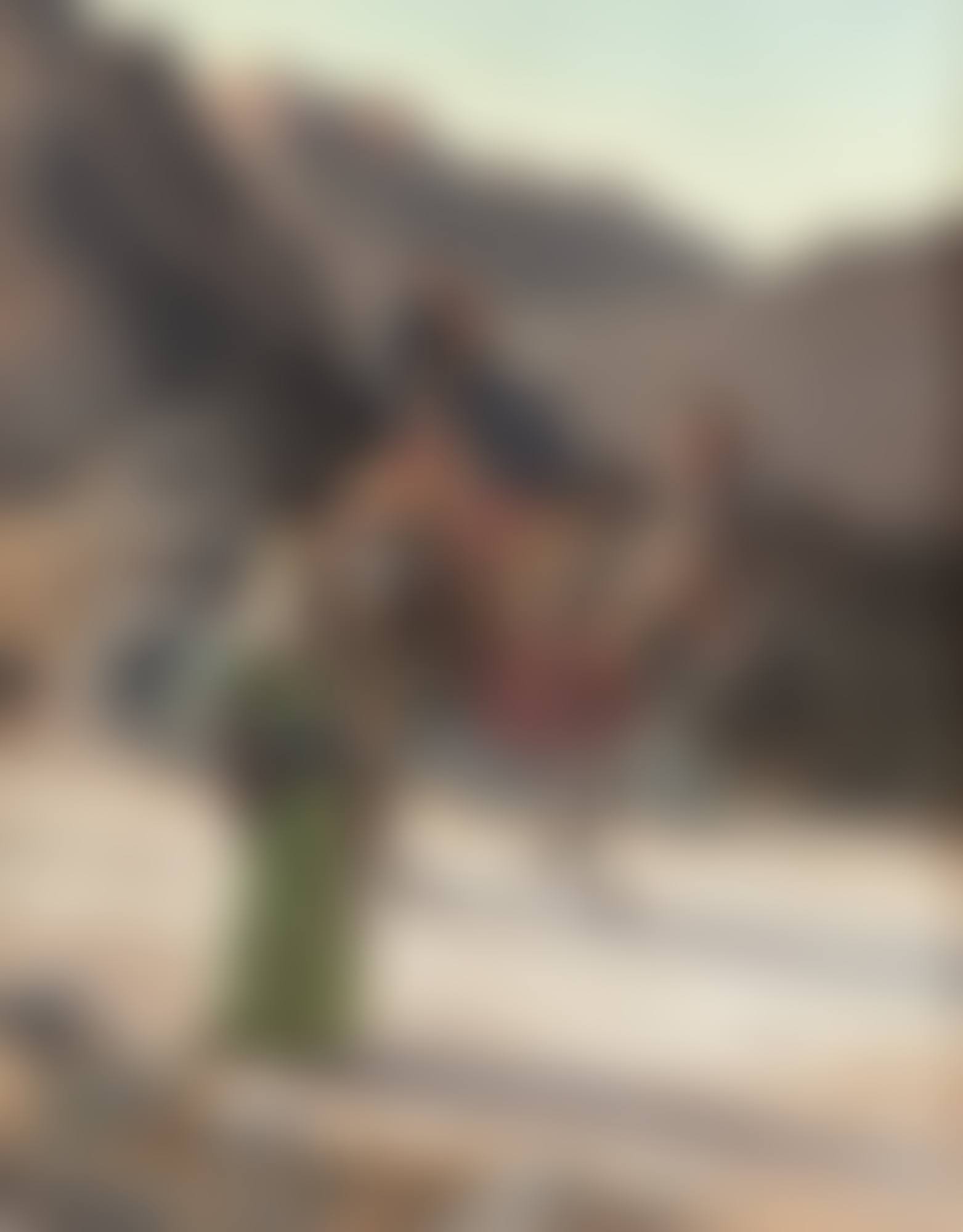 The Escort (preview)