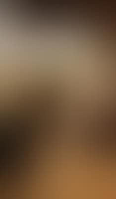 A Girl Standing by the Laundry Corner, South Tyrol (preview)