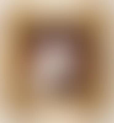 Ein Spitz mit rosa Masche (preview)