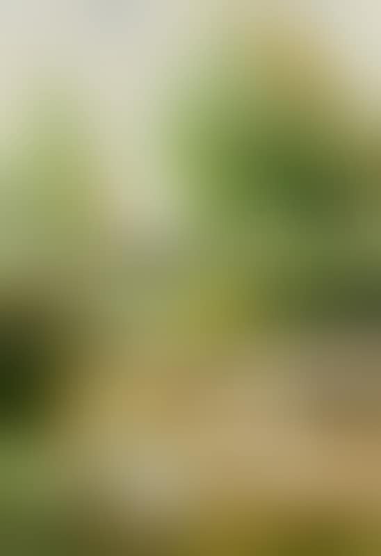 Spring in Glendun, Co. Antrim (preview)