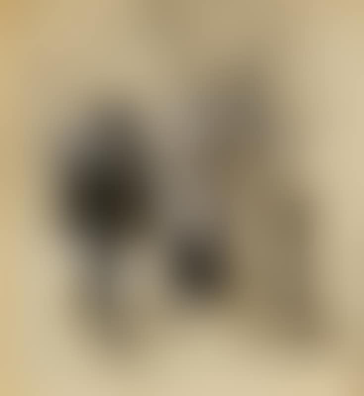 The Mandolin Player (preview)