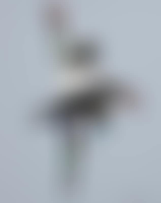 Victory (preview)