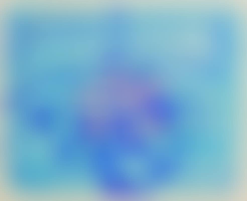 Still Life by the Window (preview)