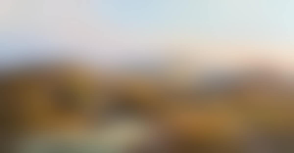 Sheep Grazing in the Mournes (preview)