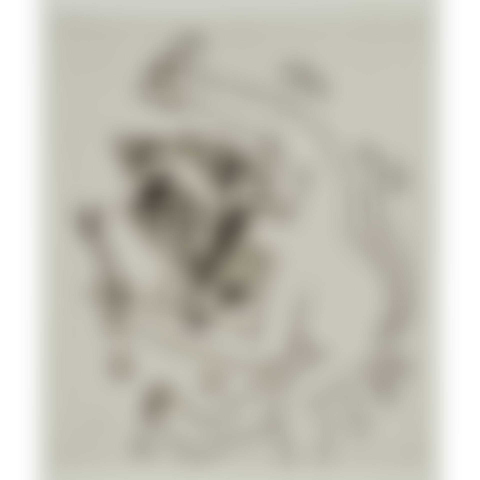 One plate, from Untitled (preview)