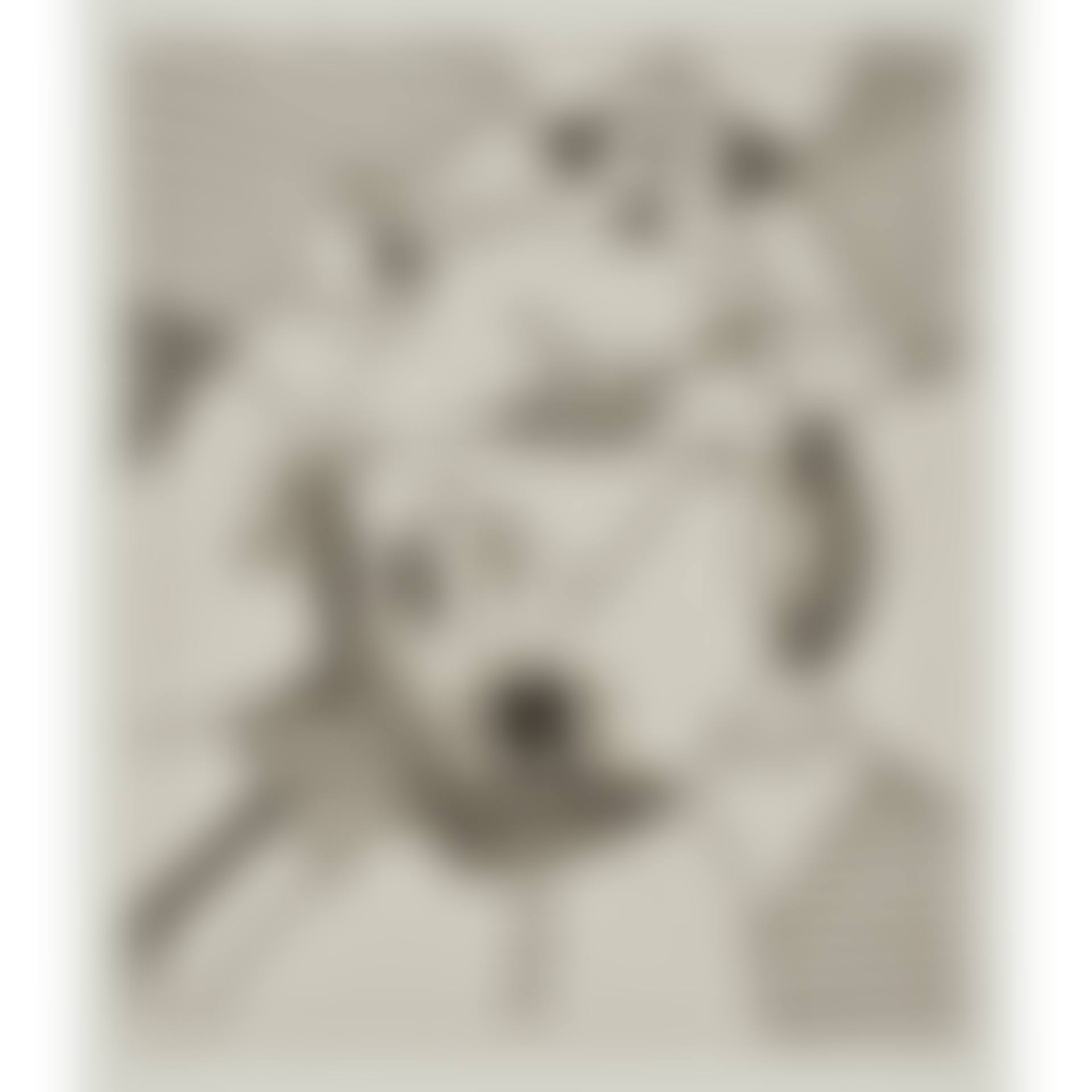 One Plate, from Untitled (preview)