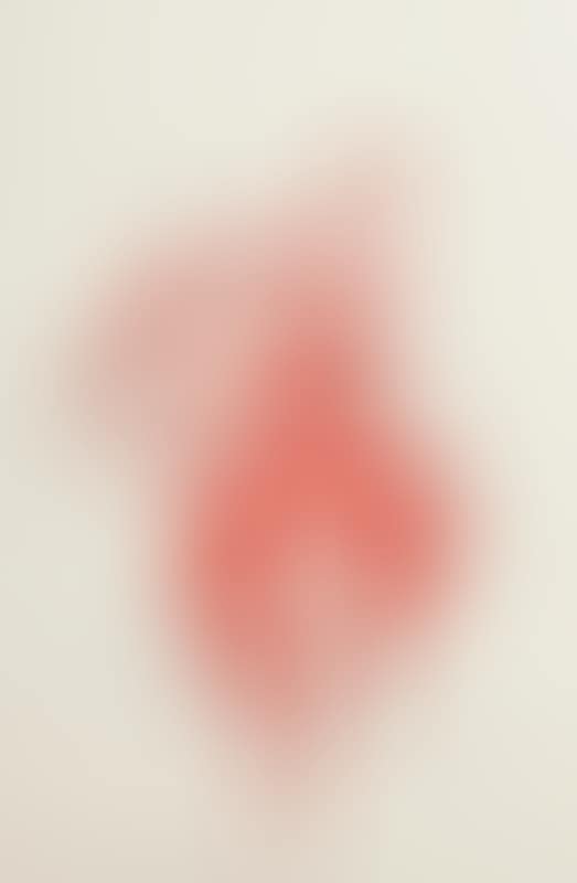 Homage to Henri Matisse (preview)