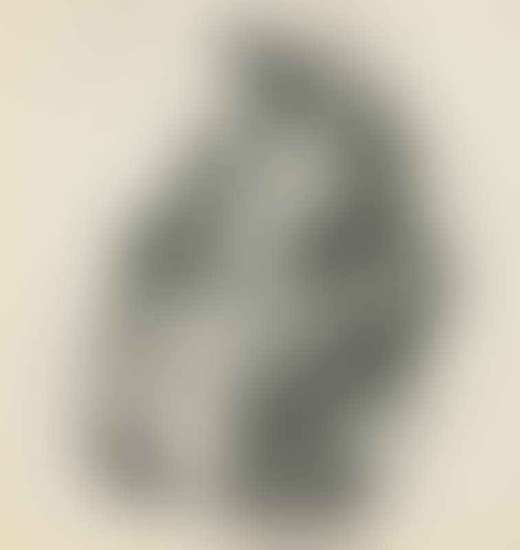 Portrait of Mary Elizabeth Walker (preview)