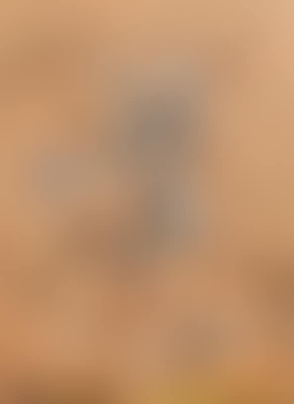 Donkey (preview)