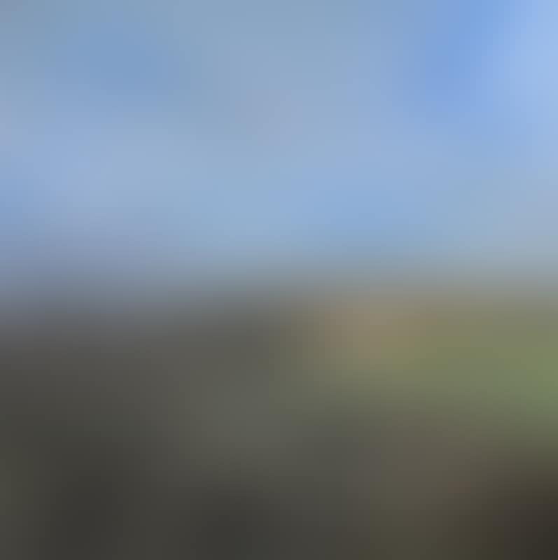 Green Pastures (preview)