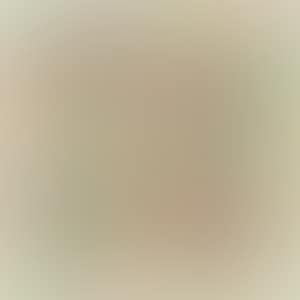 Untitled (ULAE S.13) (preview)