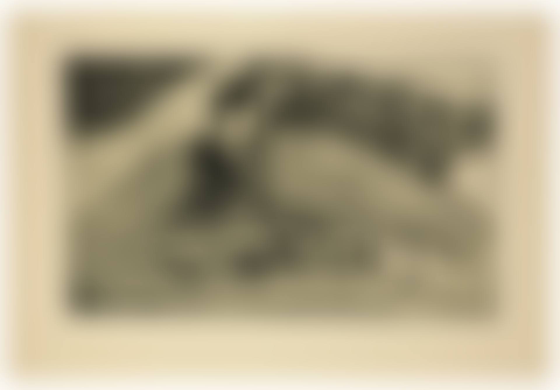 La femme aux figues (preview)