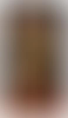Portrait of a sultana, full-length, wearing nalins (preview)