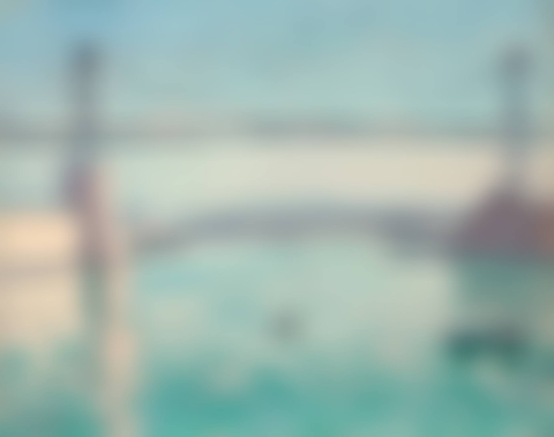 Marseille, le pont transbordeur (preview)
