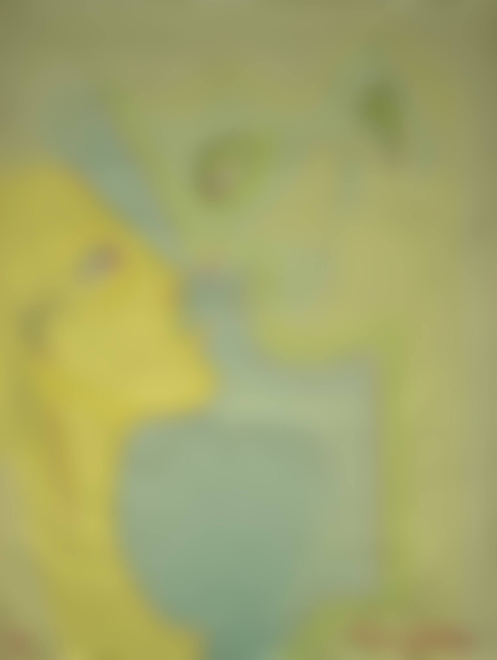 Double visage (preview)