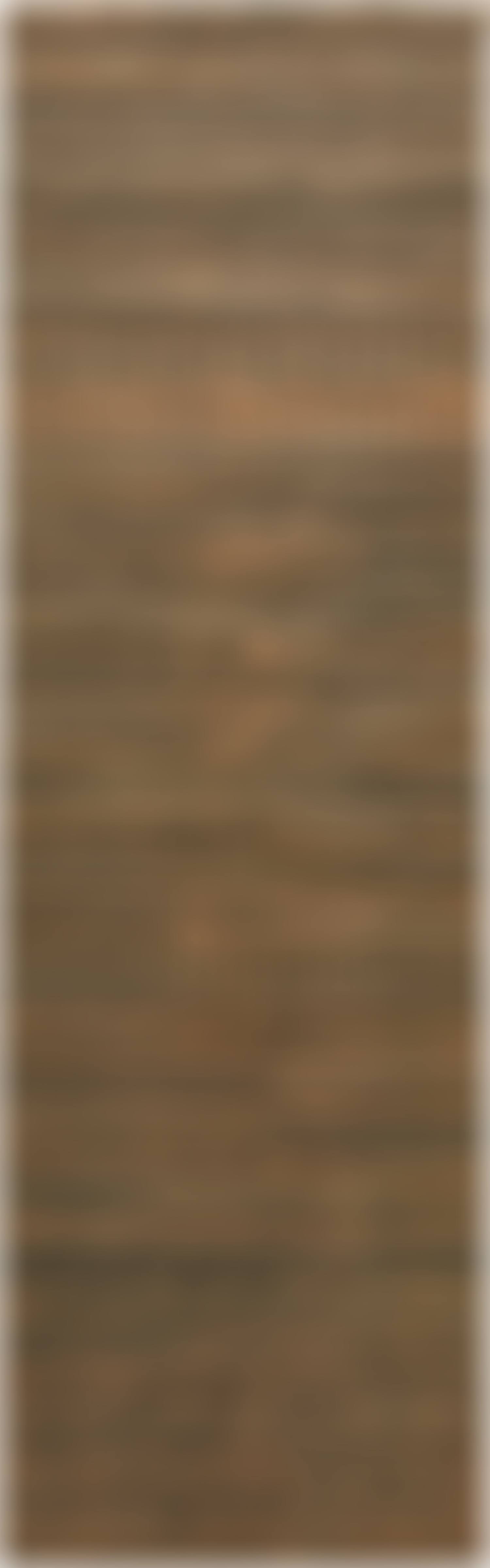 Foglio lungo di Pavia (Long Sheet from Pavia) (A.P. GR52) (preview)