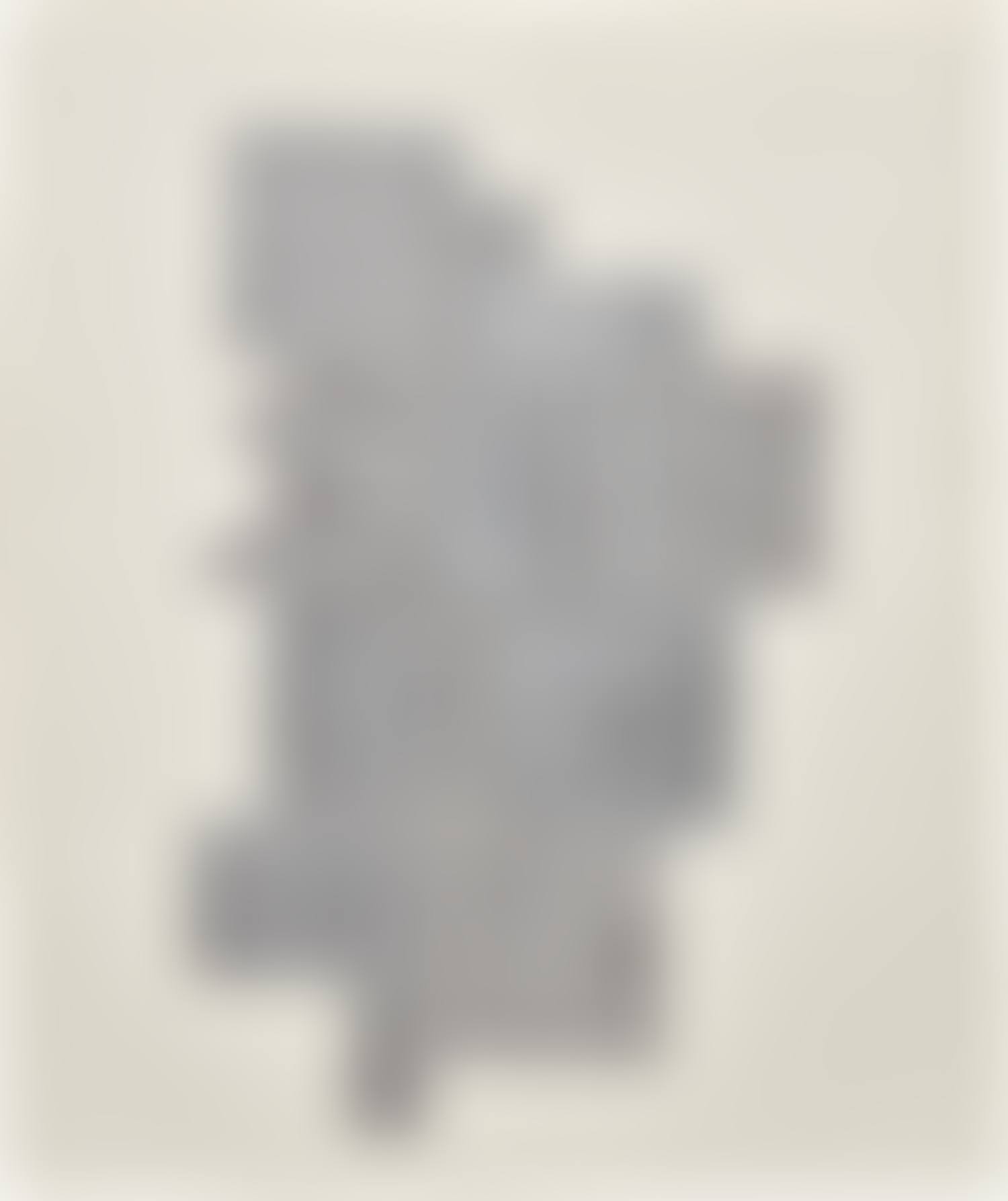 Tropical Leaves (B. 113) (preview)