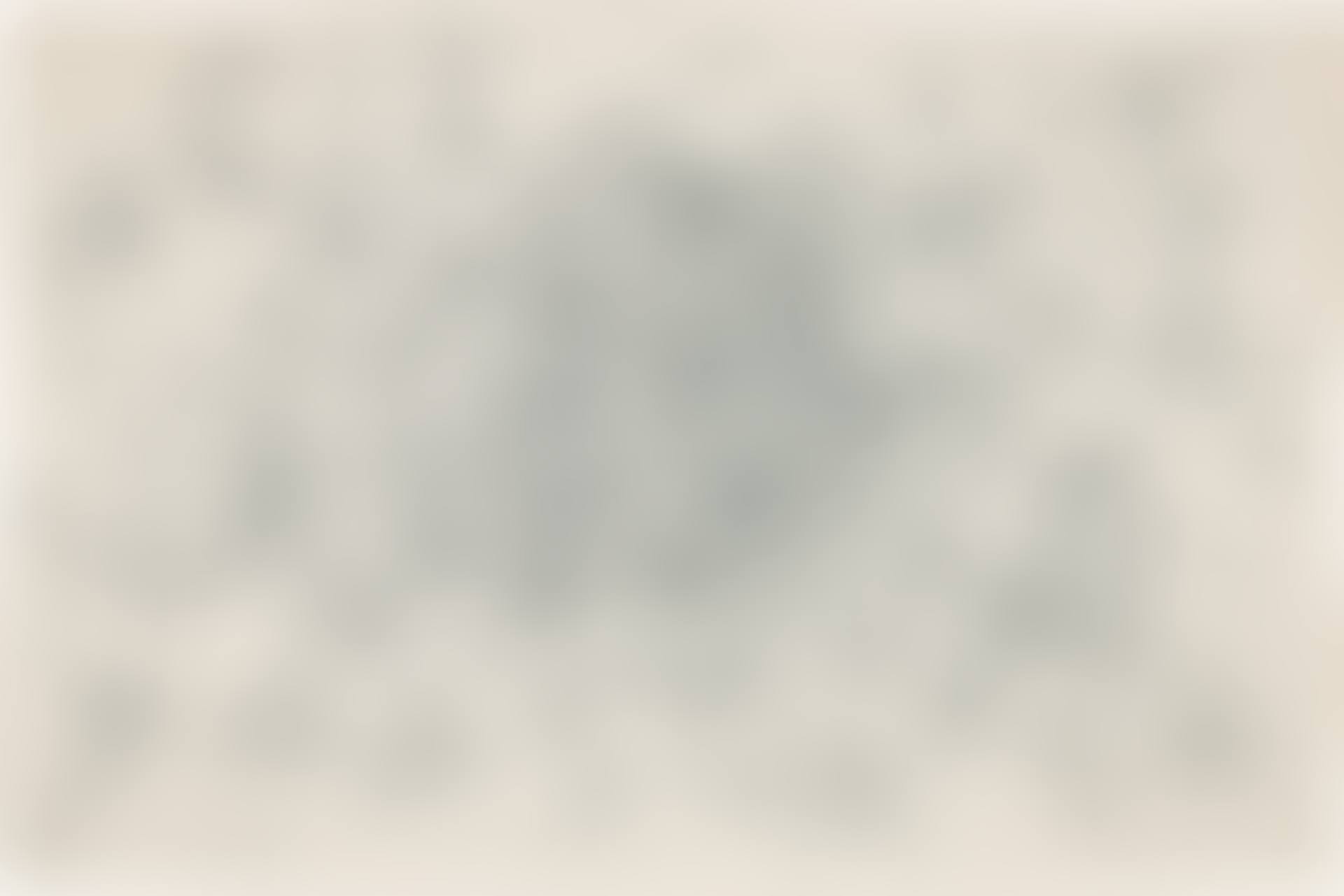 I'm Amazed, from Fourteen Big Prints (E. 56) (preview)