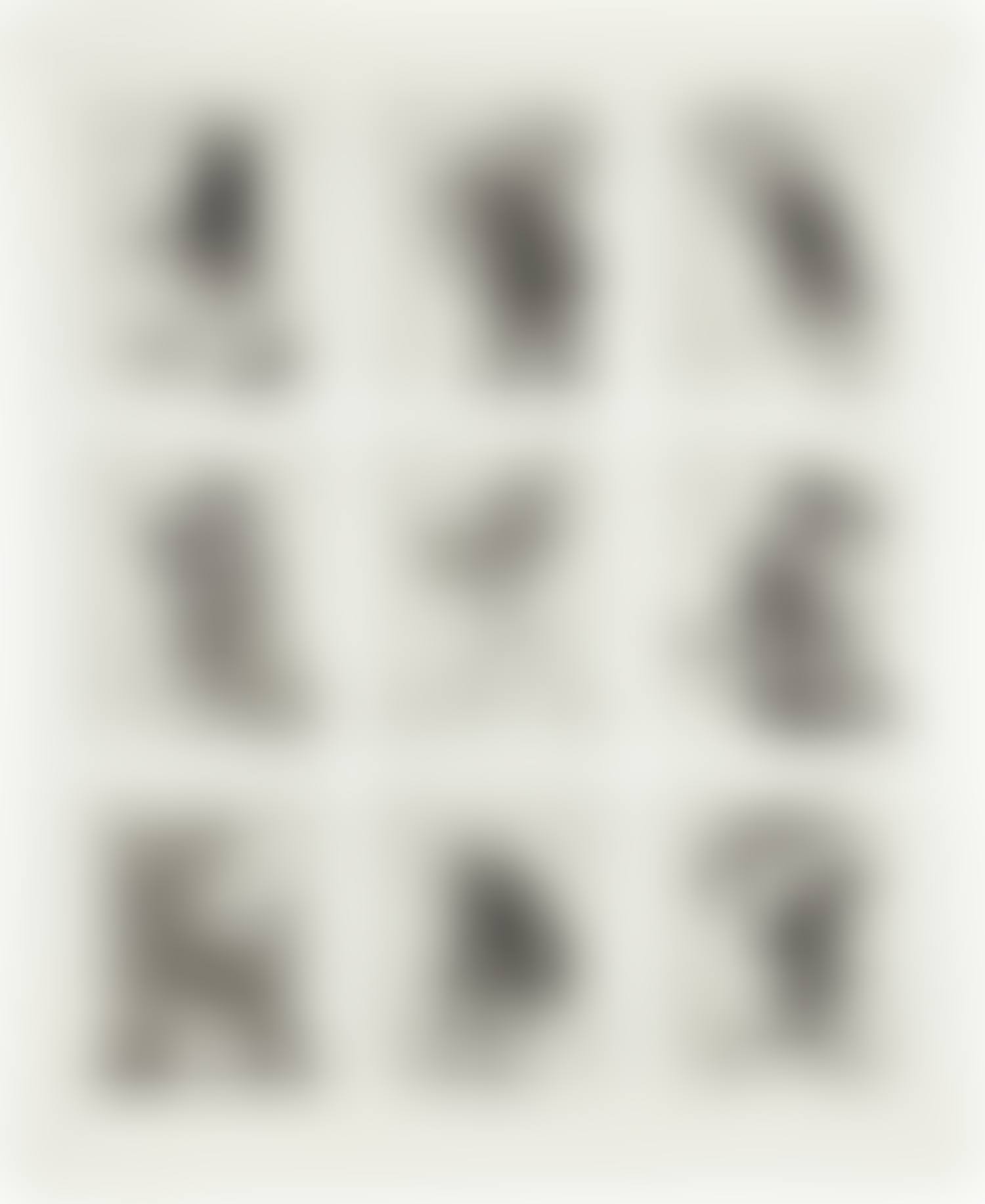 Zeno at 4 A.M. (K. pp. 118-119) (preview)