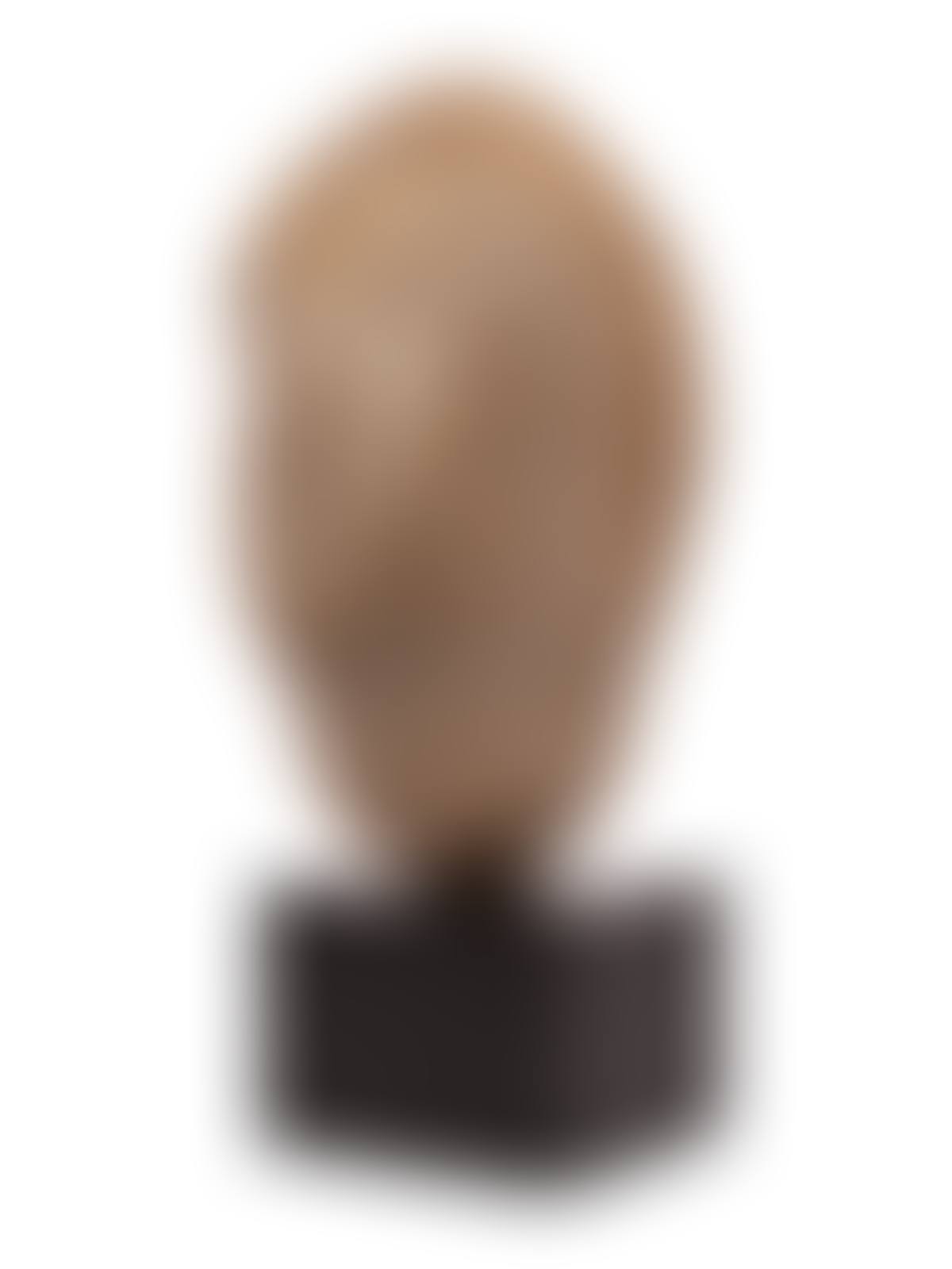 Head of a Young Girl (preview)