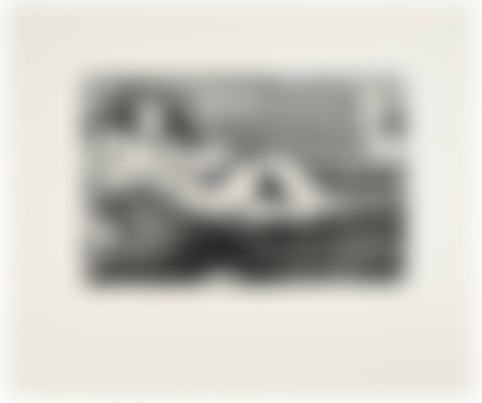 41 Etchings Drypoints (preview)