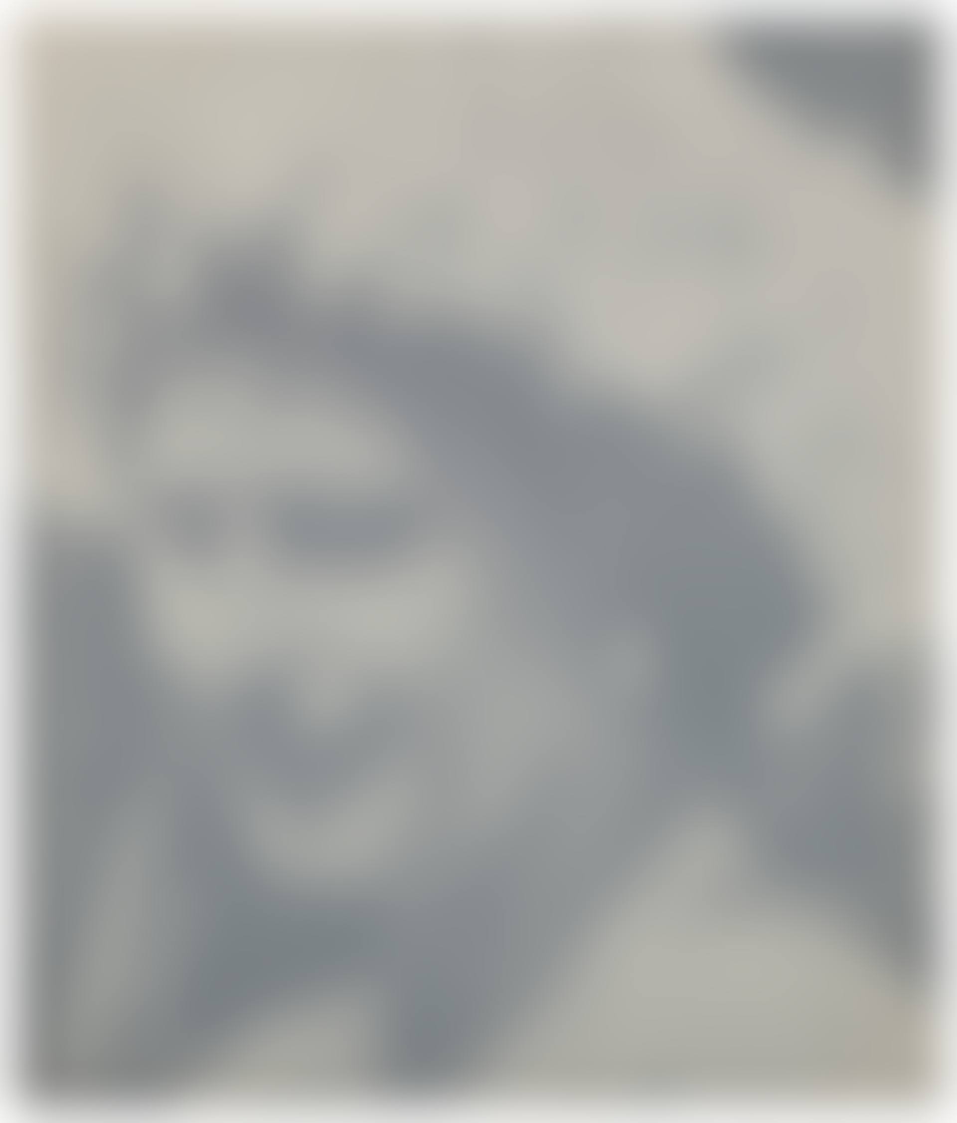 Elisabeth I (preview)