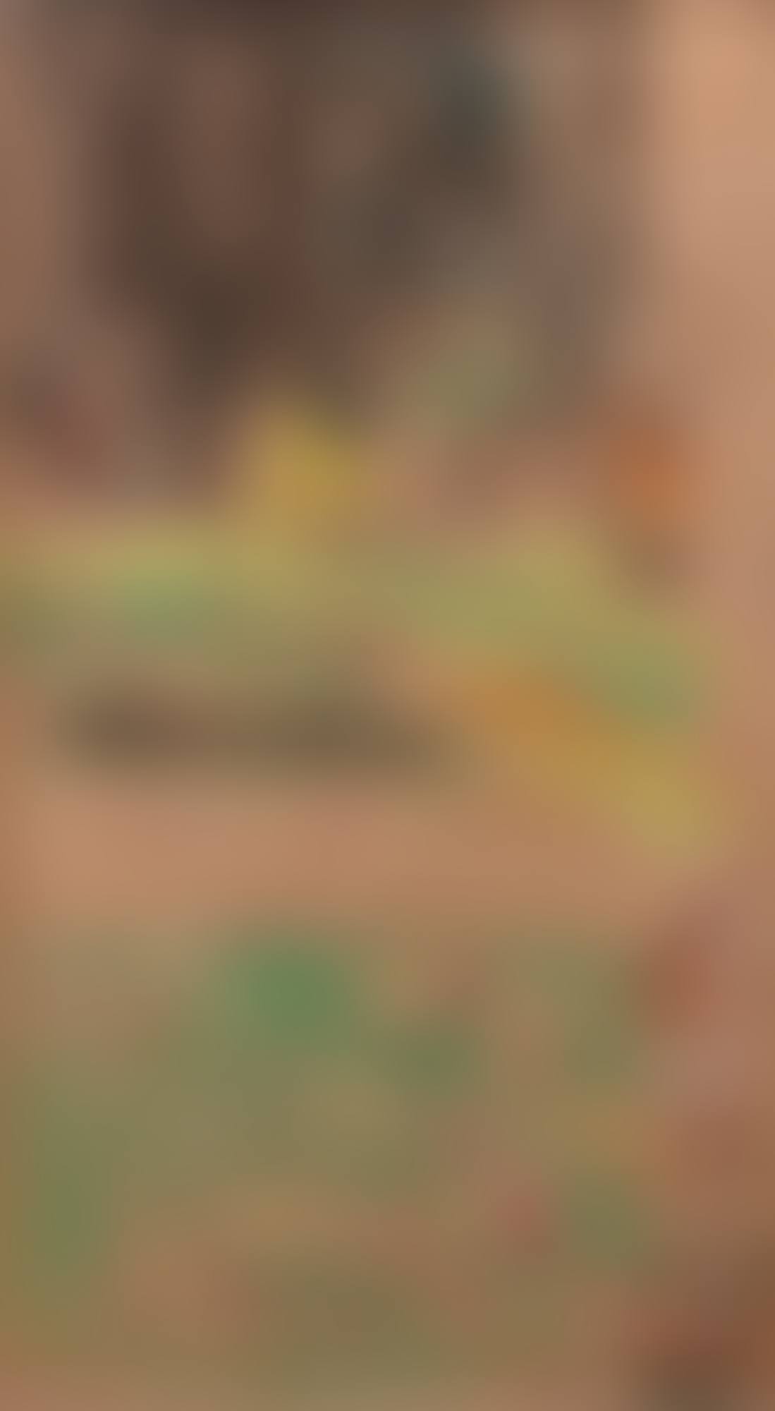 Pelouse au soleil (preview)
