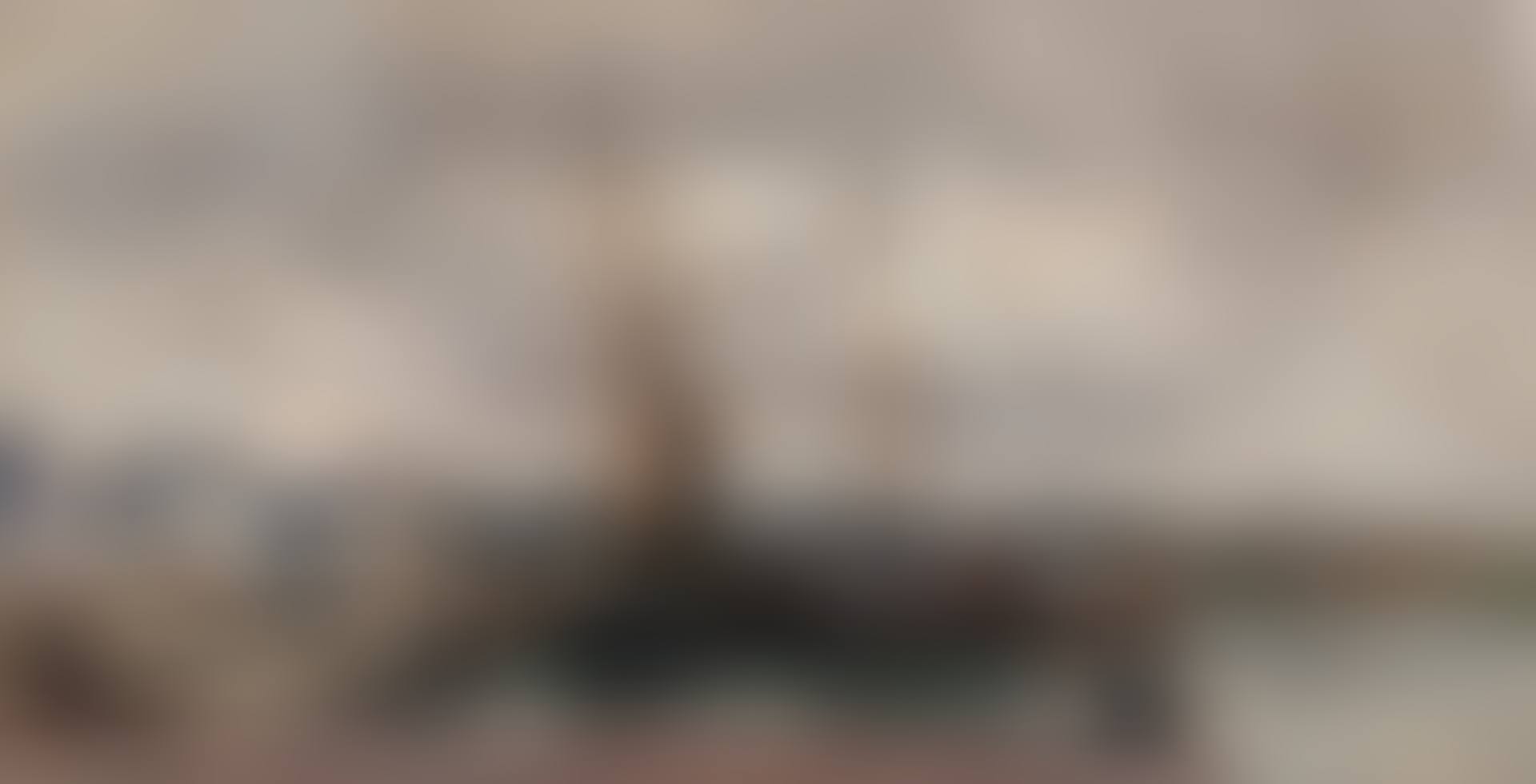 Le Port de Rouen (preview)