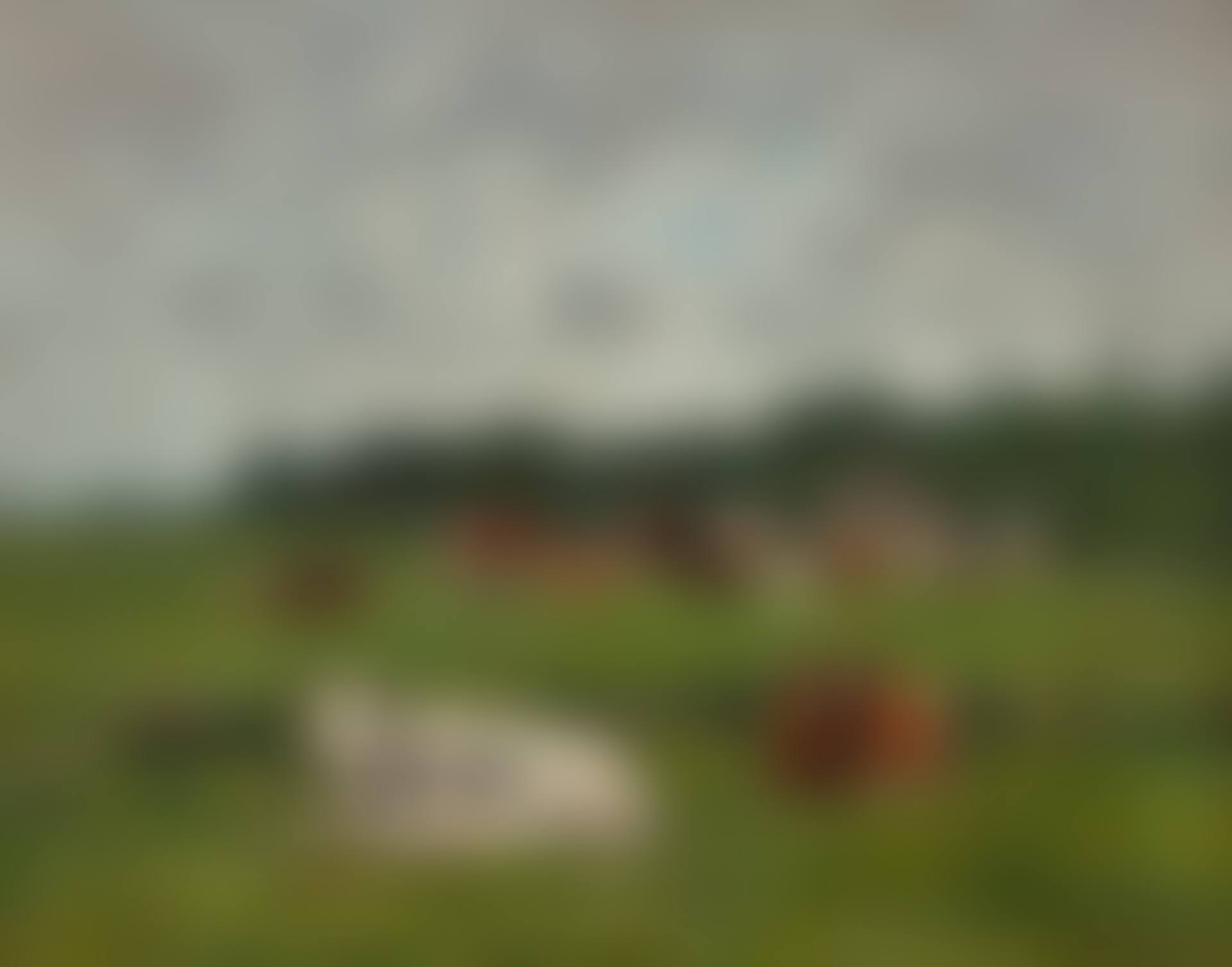 Paturage normand (preview)