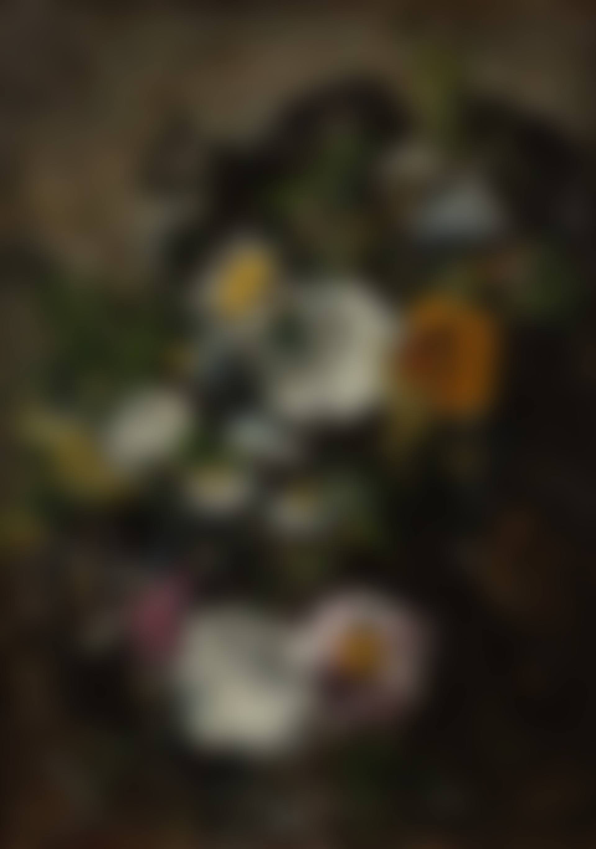 Etude de marguerites (preview)