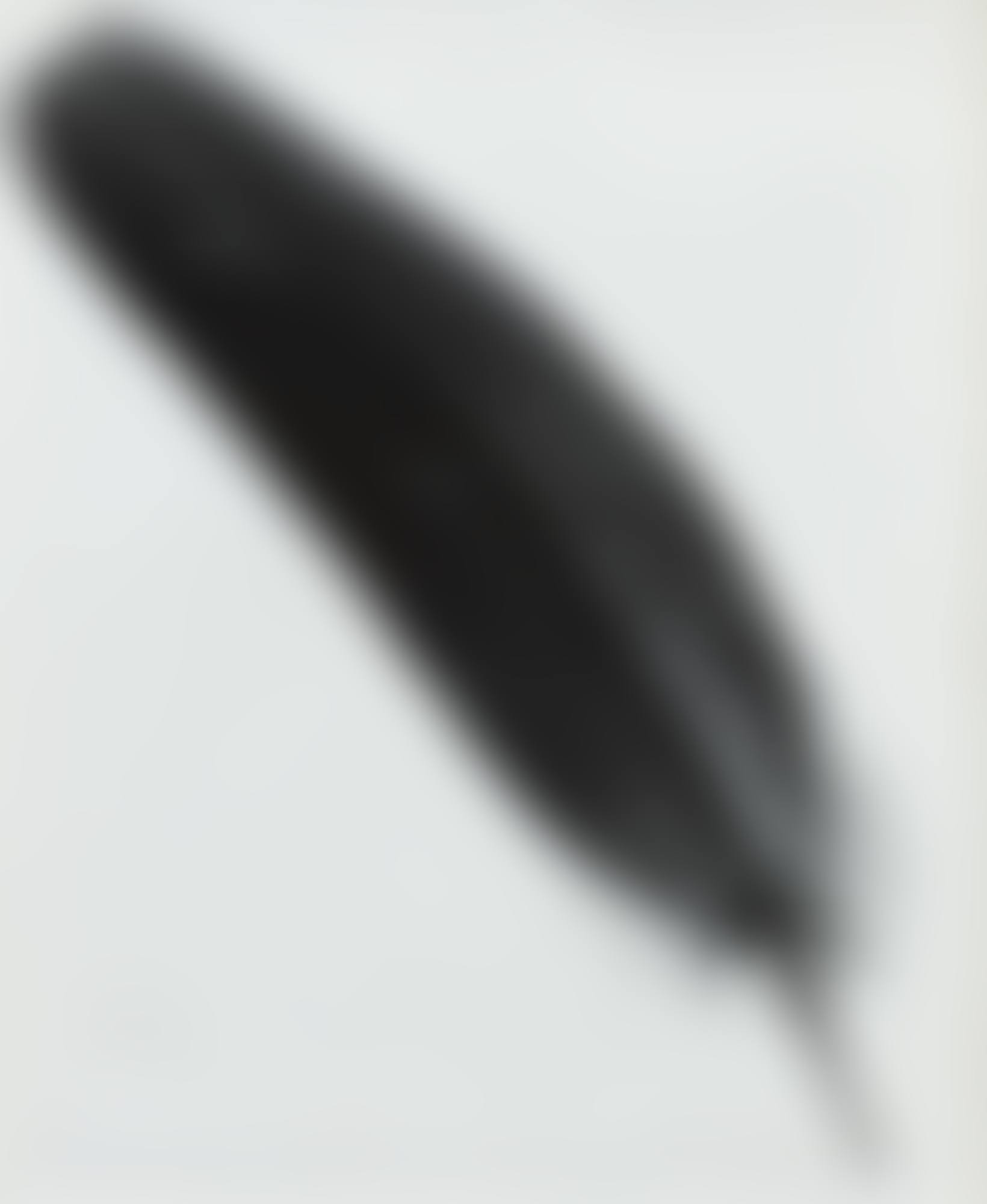 Plume (Feather) (preview)