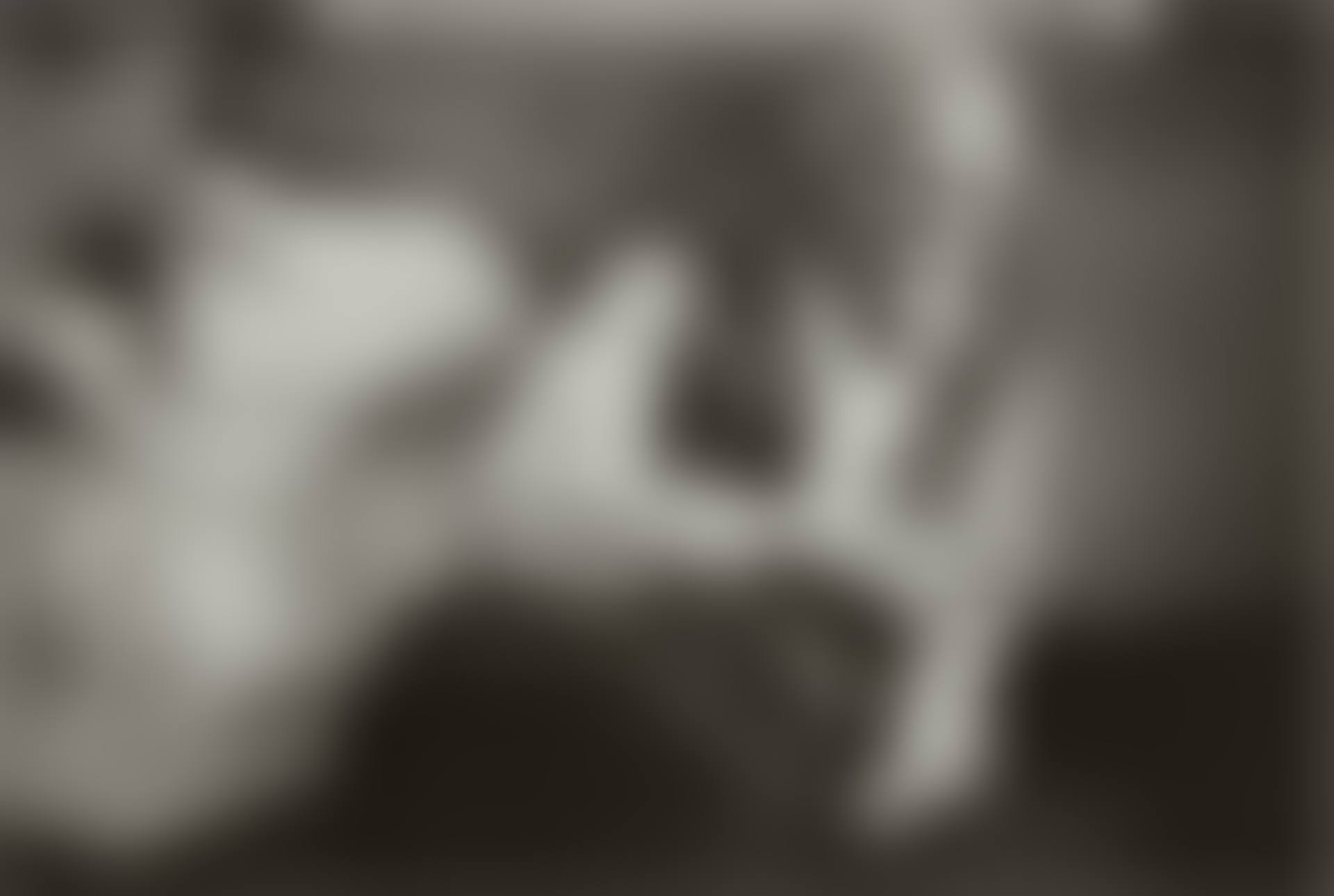 Alfred Stieglitz (preview)
