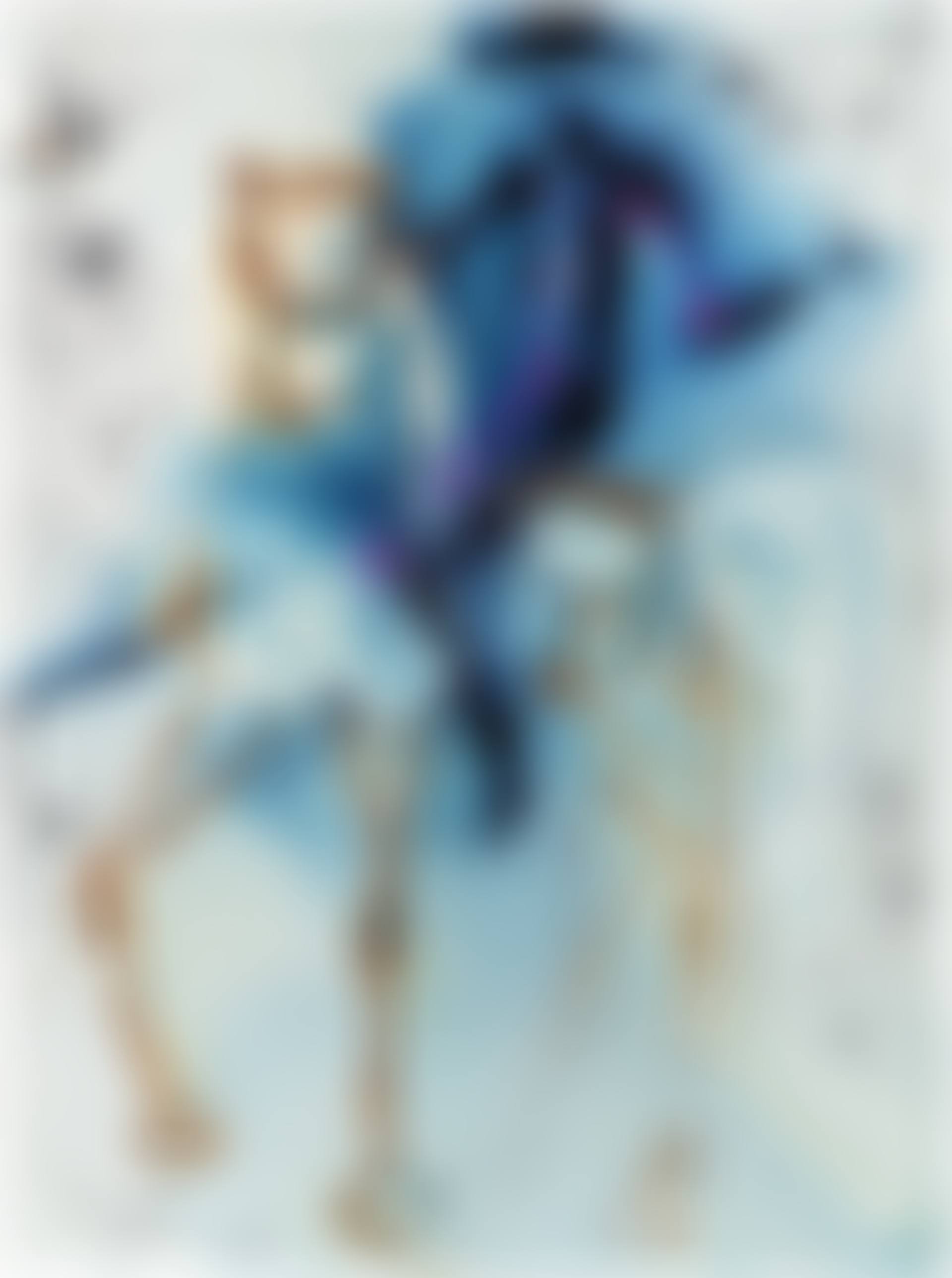 Le picador (preview)