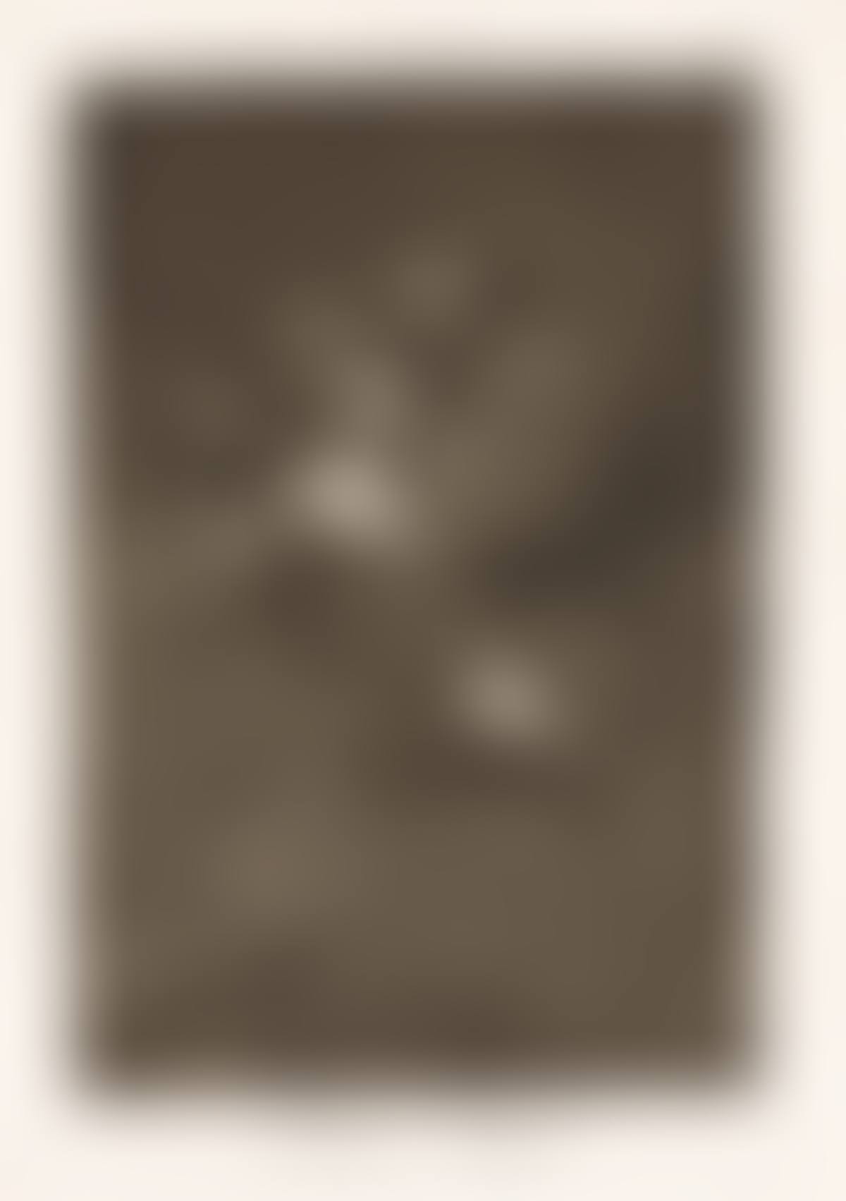 Buen Viage (preview)