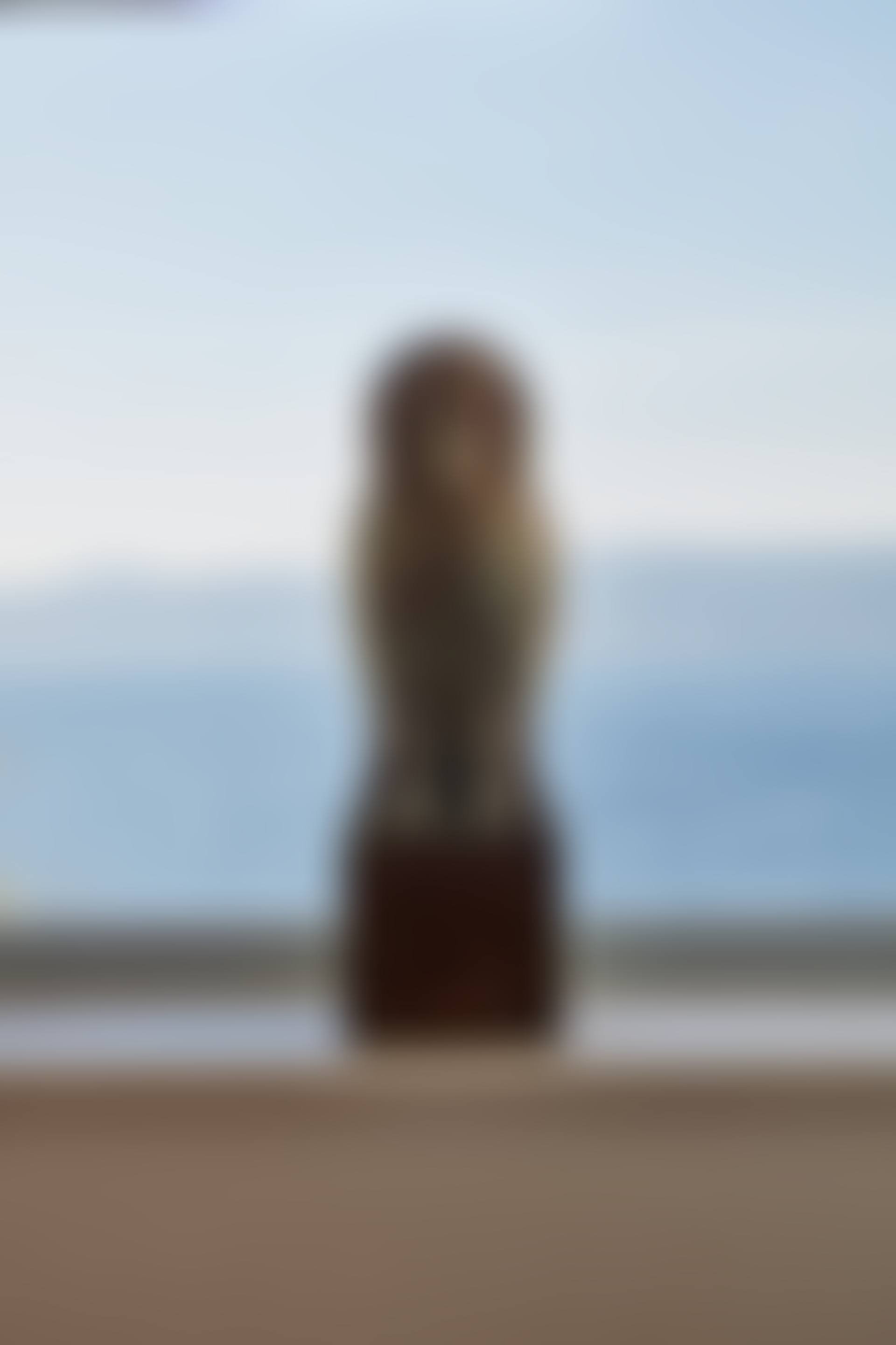 Chouette perchée (preview)