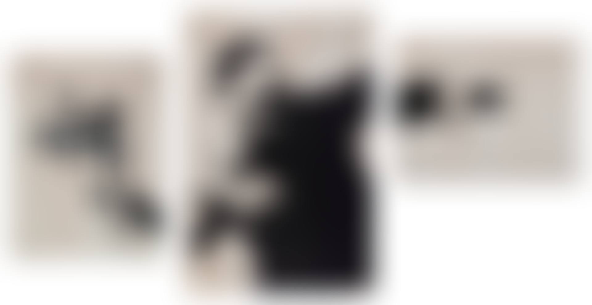 Flower Thrower Triptych (Grey) (preview)