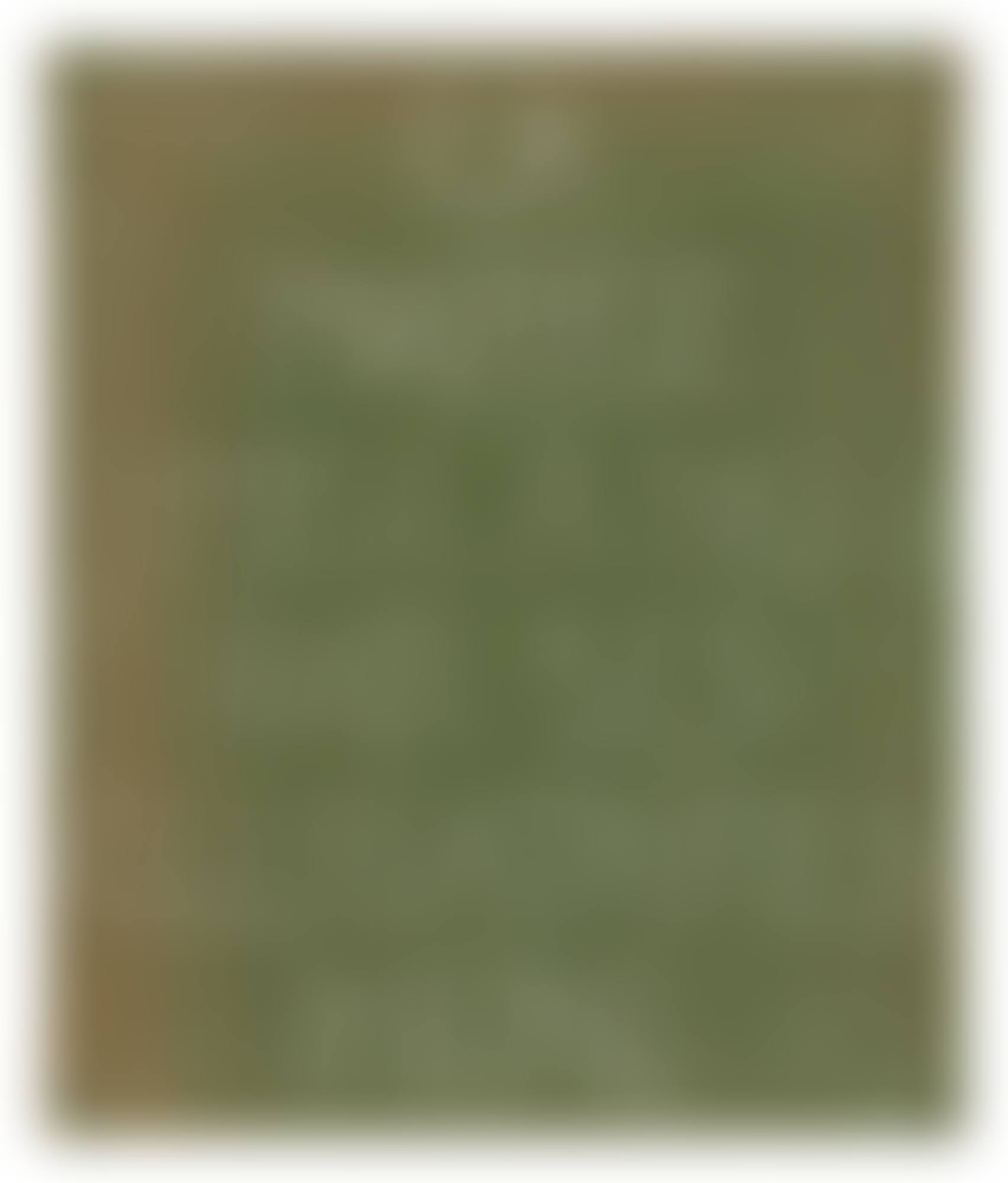 The Bride Stripped Bare by her Bachelors Even [The Green Box] (Schwarz 435) (preview)