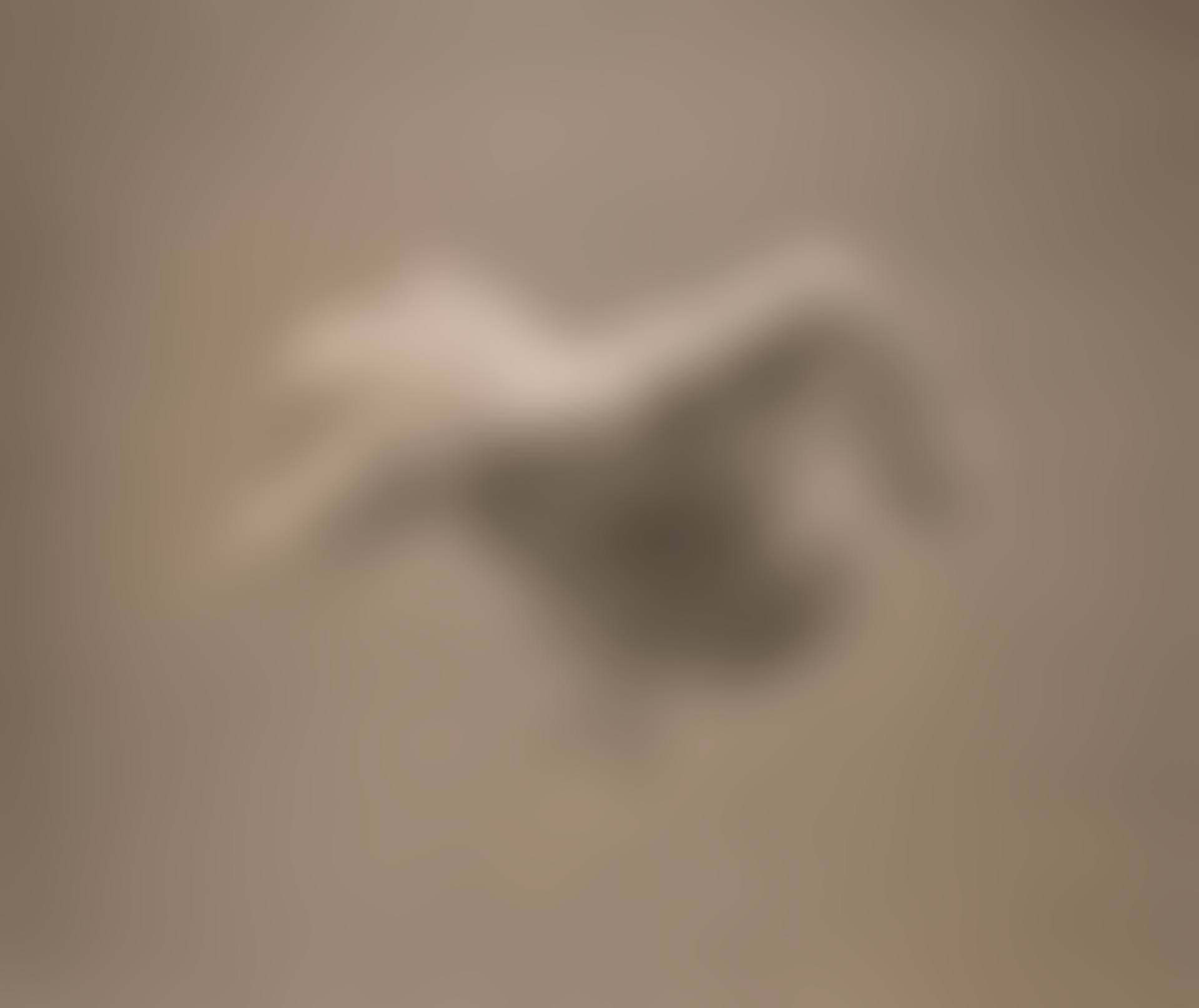 Flying Crow Cloud (from 'Equivalents' series) (preview)