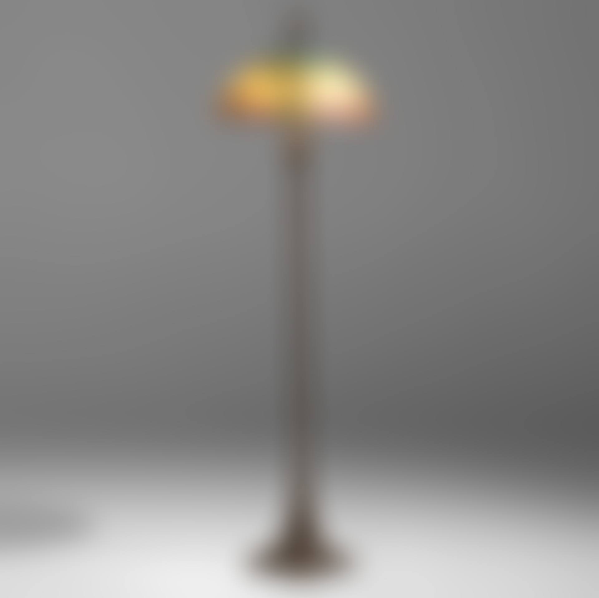 Rare Macaws floor lamp (preview)